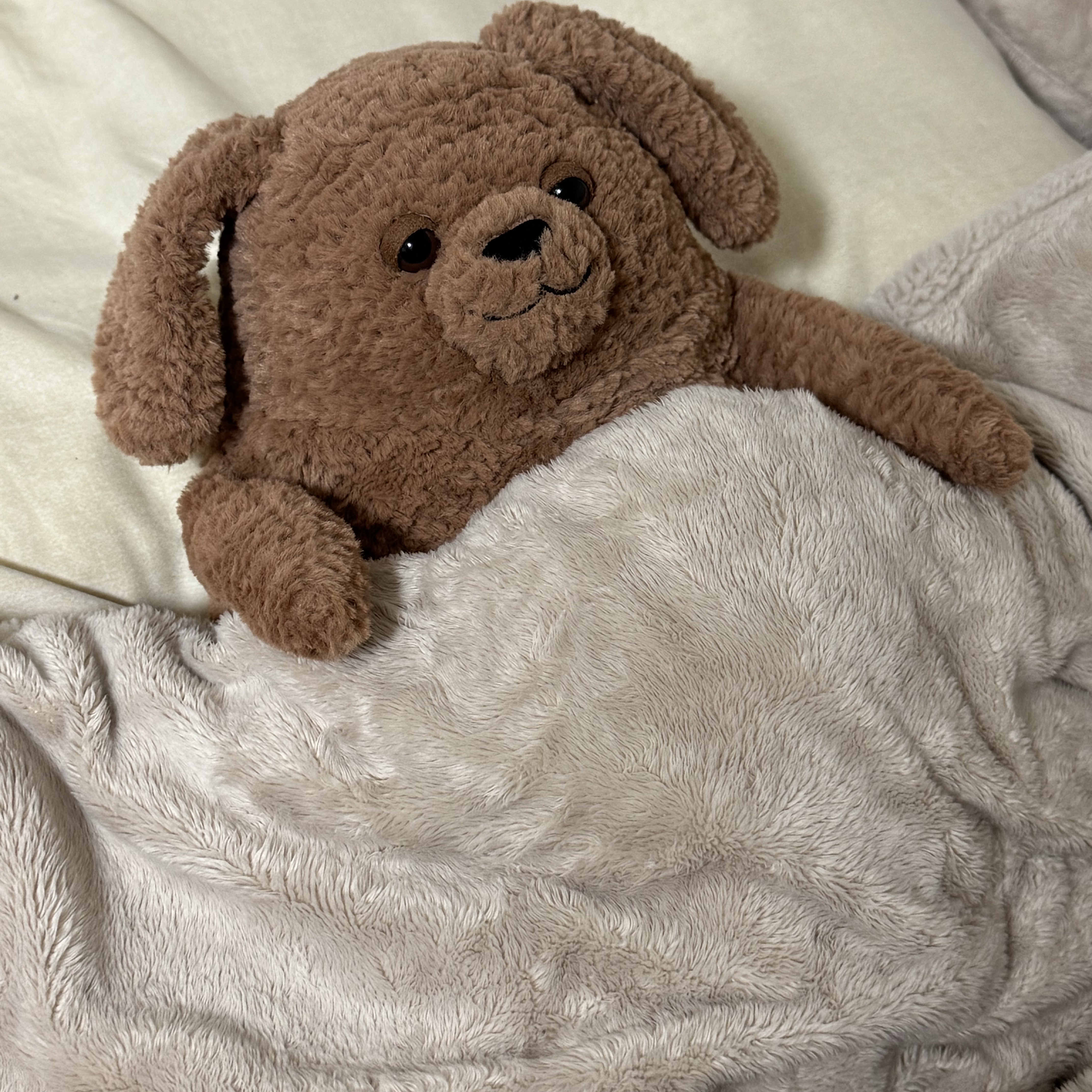 Jellycat Amore Dog Brown 착용 스타일
