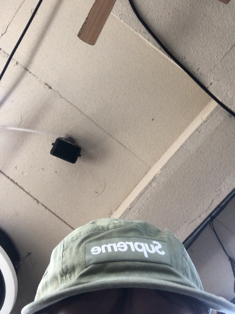 Supreme Washed Chino Twill Camp Cap Light Olive - 24SS 착용 스타일 - 2