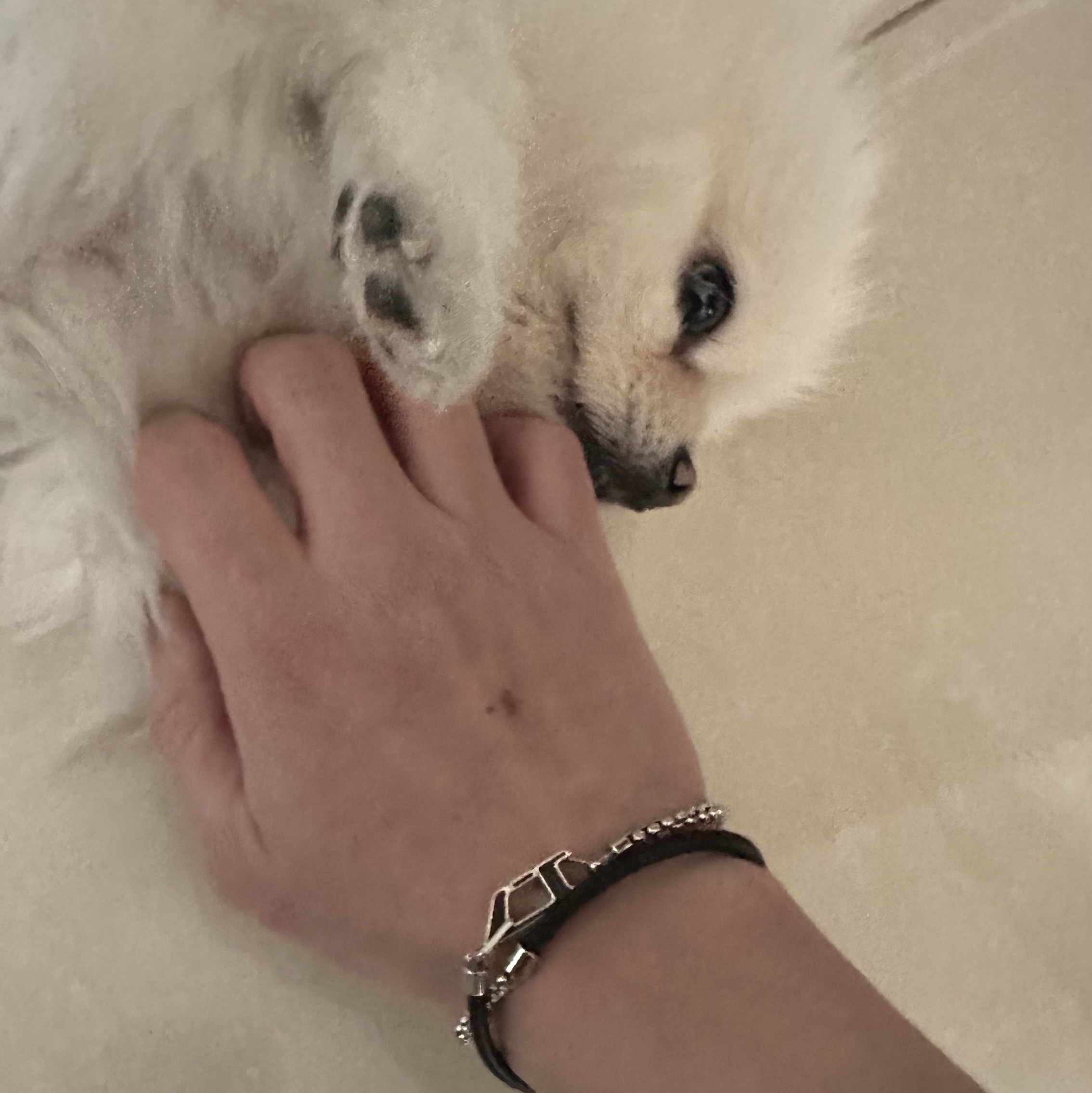 Diesel Dx1472 Stainless Steel Chain Bracelet Silver Black 착용 스타일