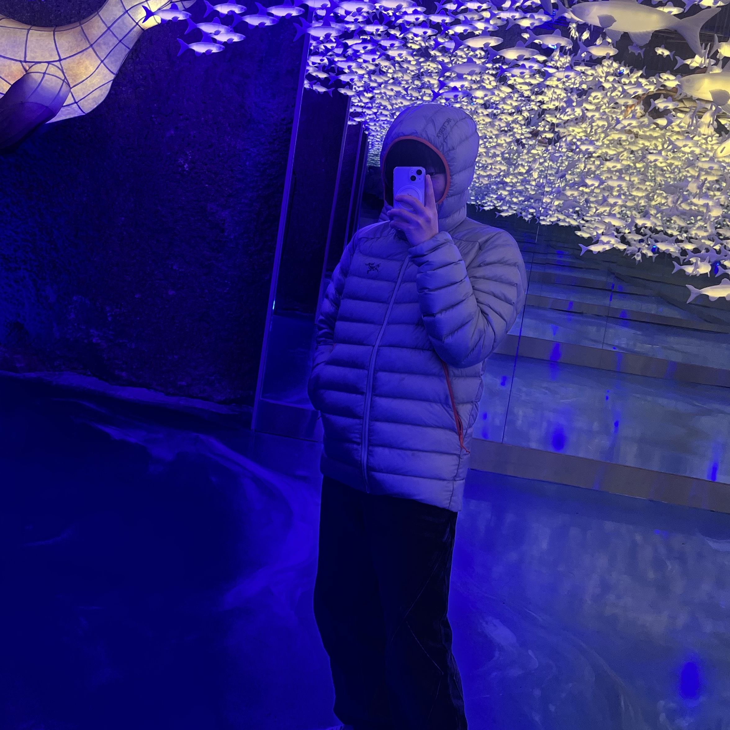jhbea77님의 스타일