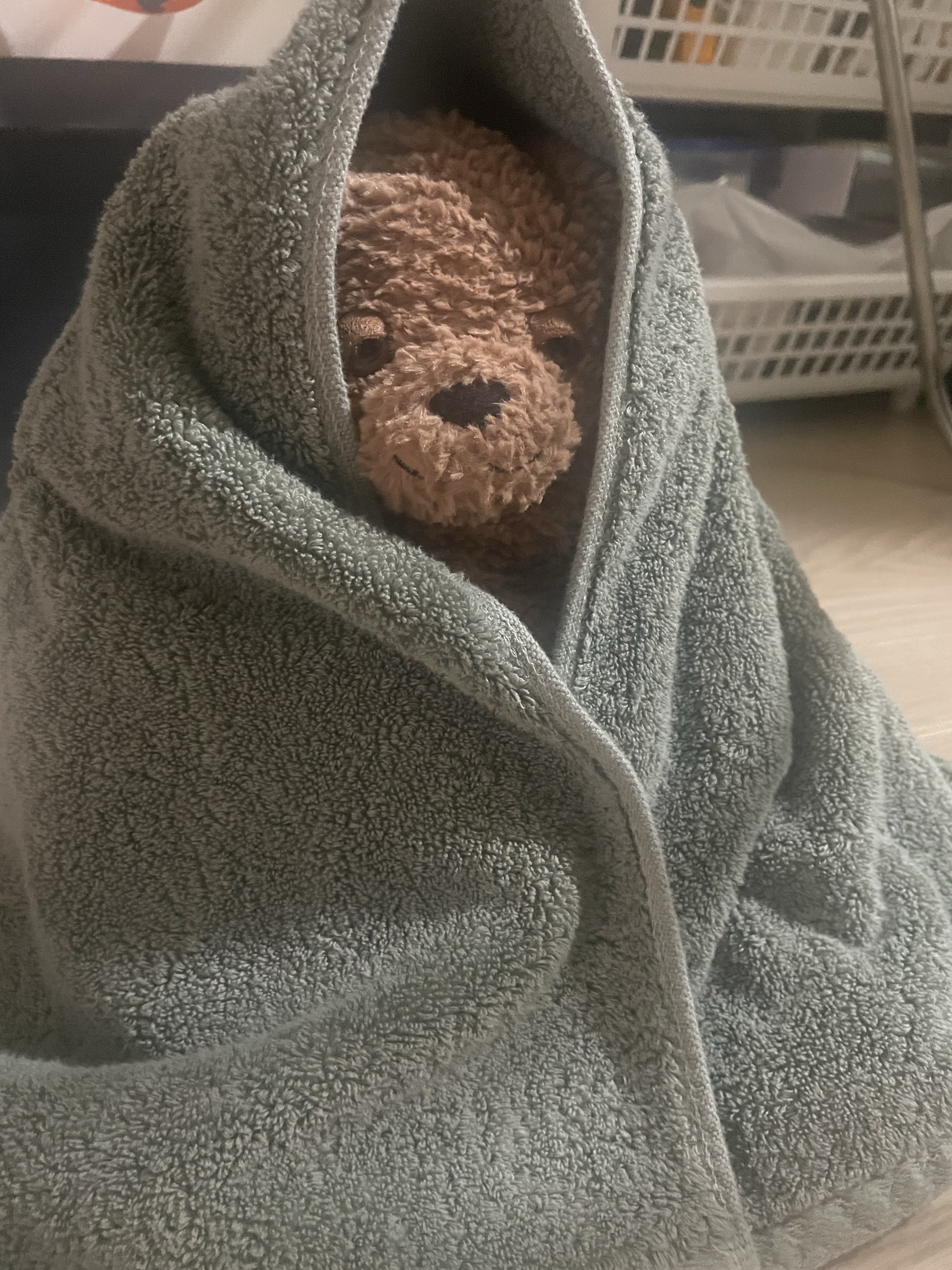 Jellycat Amore Dog Brown 착용 스타일