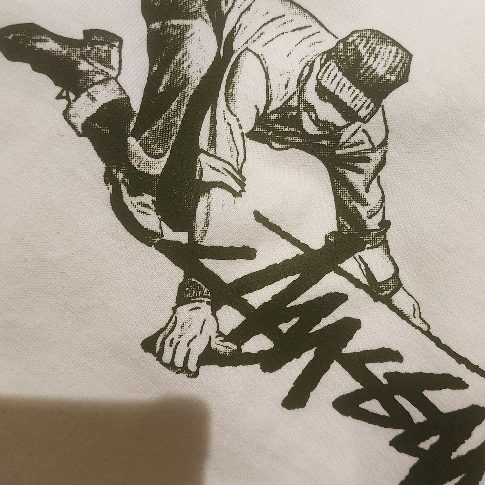 Stussy Surfwalk T-Shirt Black 착용 스타일