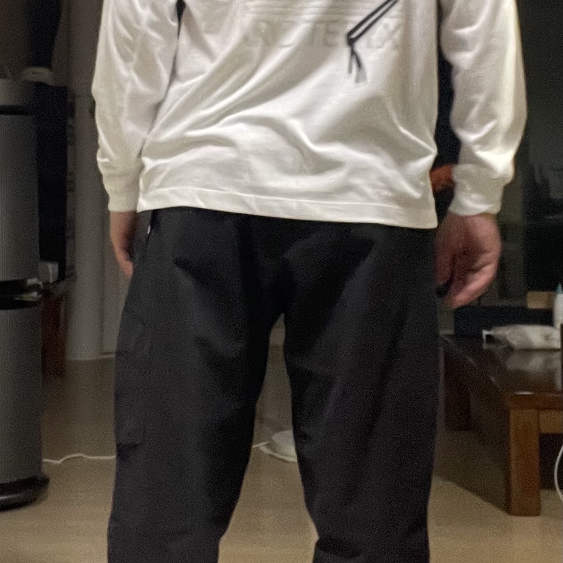 Arc'teryx Arc'Multi Bird Logo LS T-Shirt White Light, Arc'teryx Cronin Cotton Pants Black 착용 스타일