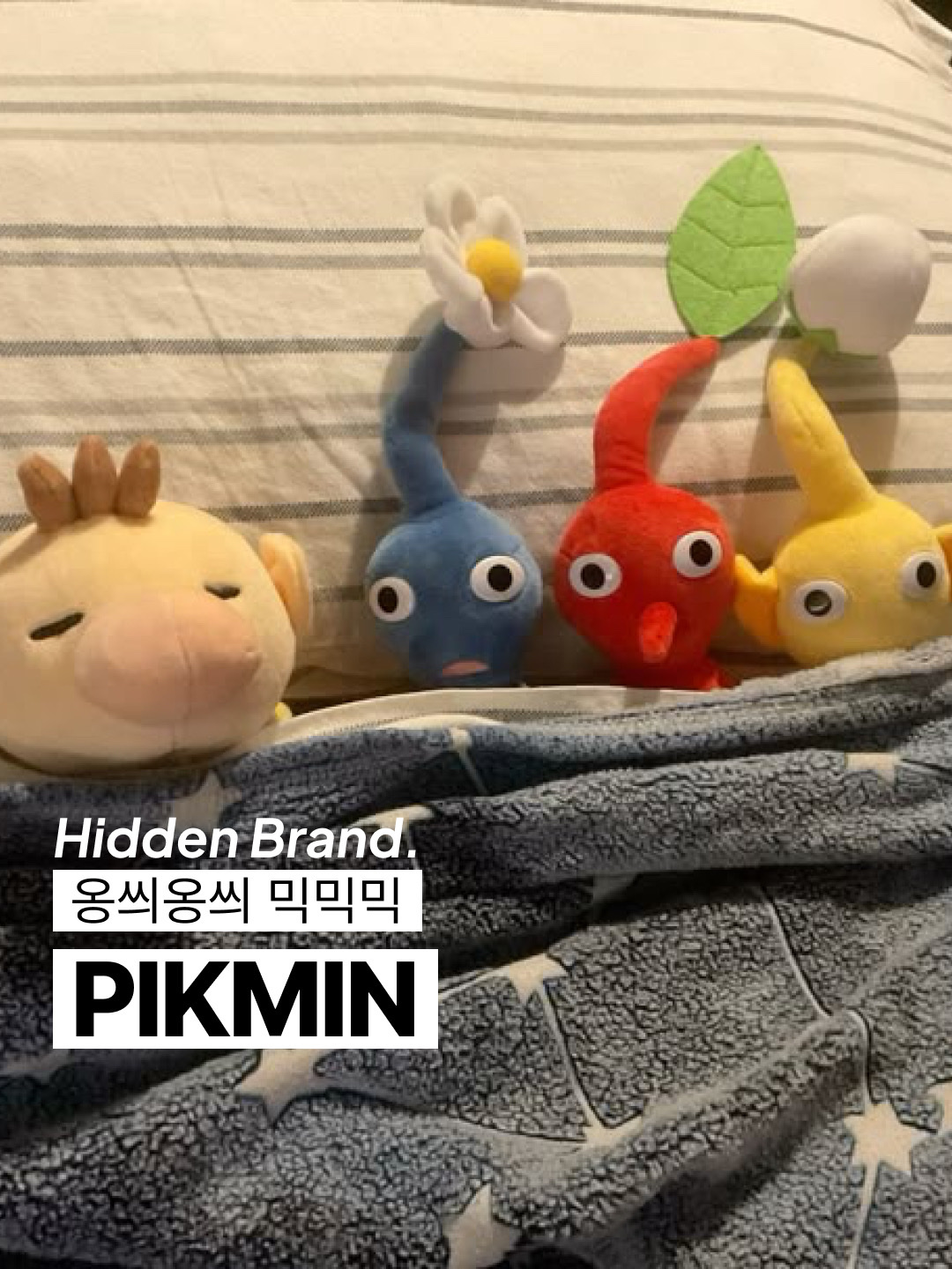 Nintendo All Star Collection Ice Pikmin, Nintendo All Star Collection Rock Pikmin 착용 스타일 - 1