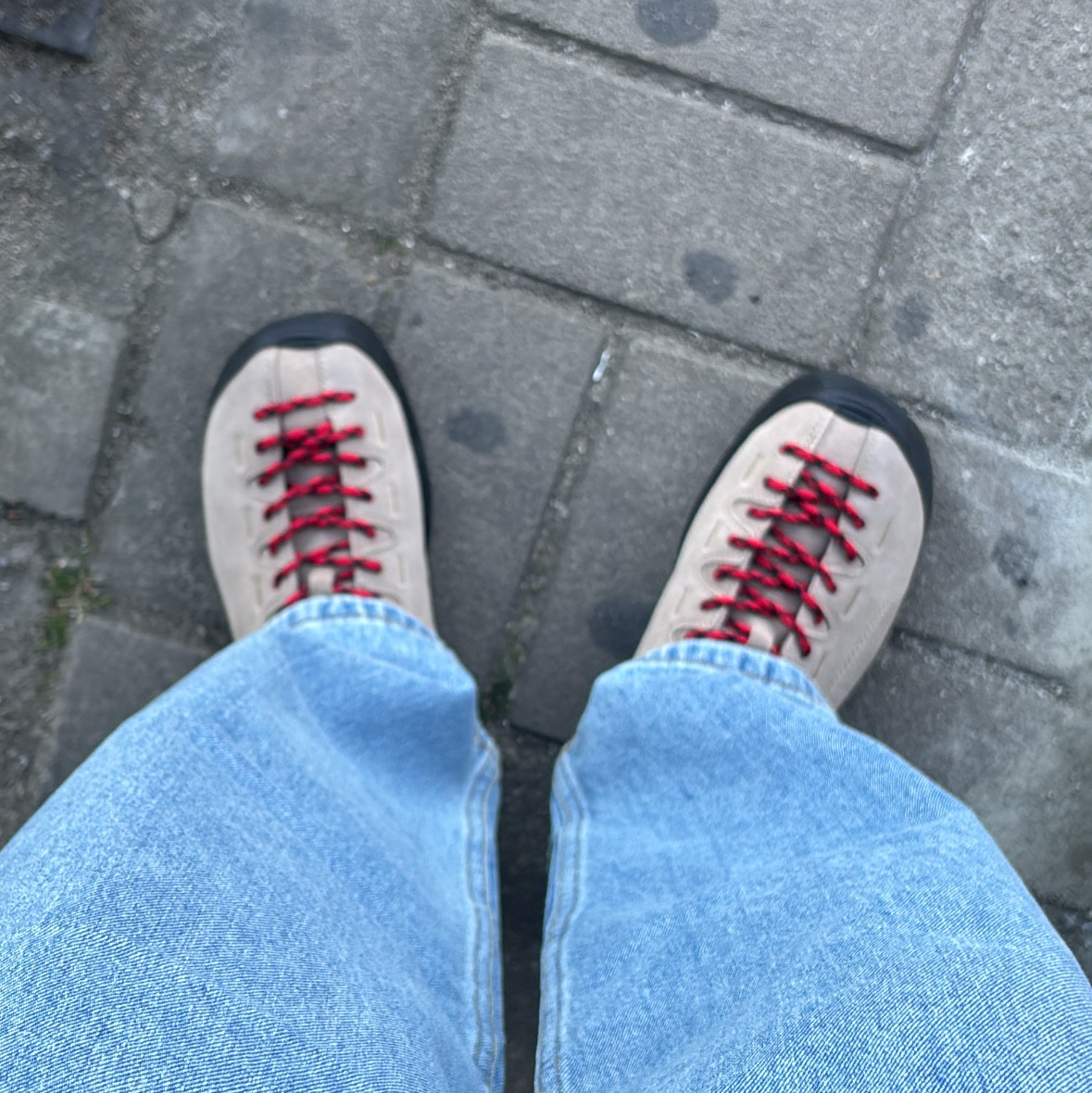 Keen Jasper Suede Sneakers Silver Mink 착용 스타일 - 2