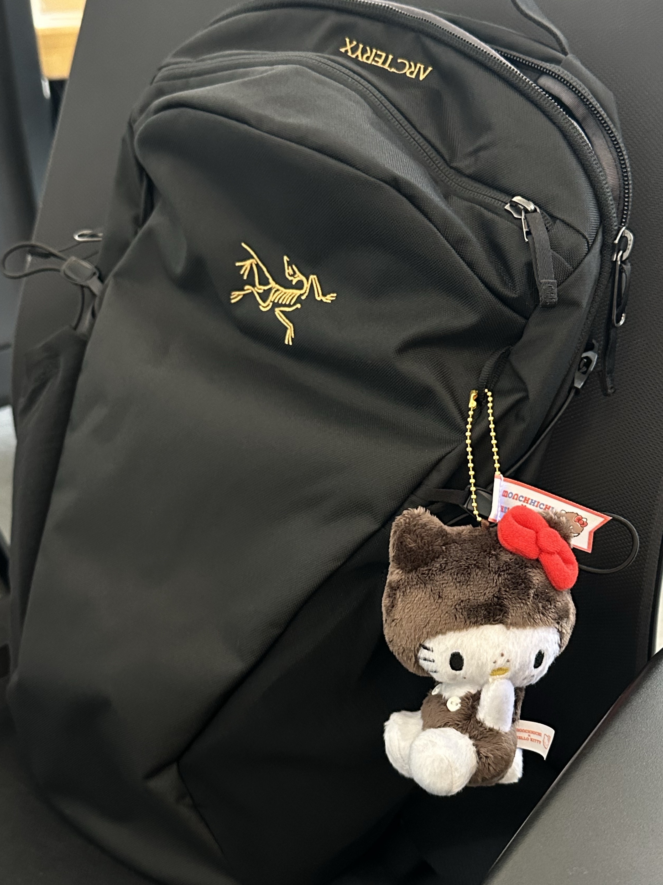 Arc'teryx Mantis 16 Backpack Black ์ฐฉ์ฉ ์คํ์ผ