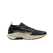 Nike Pegasus Trail 5 Gore-Tex Off Noir Black