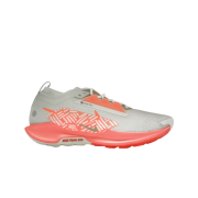 Nike Pegasus Trail 5 Gore-Tex Light Silver Light Wild Mango