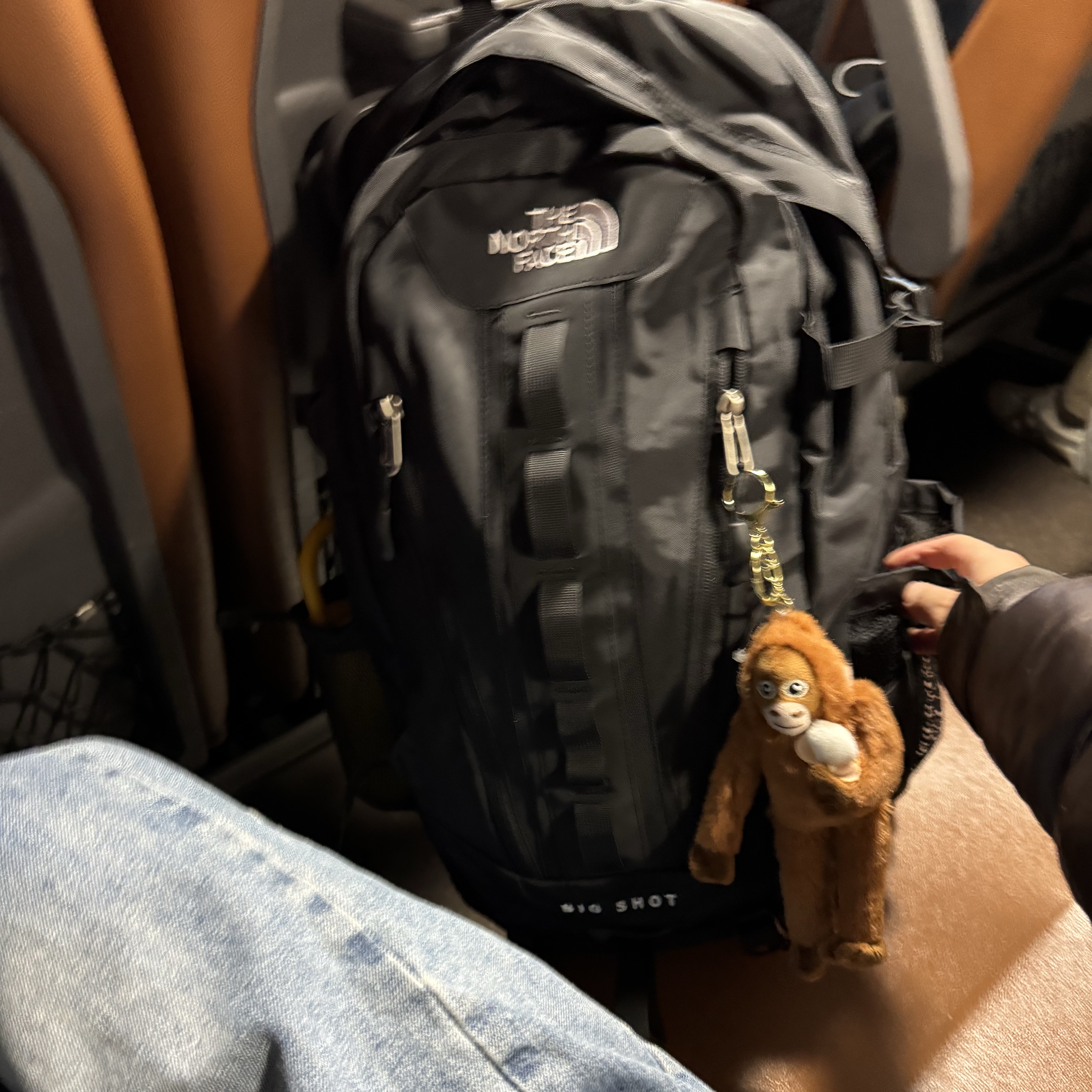 The North Face Big Shot Black 착용 스타일