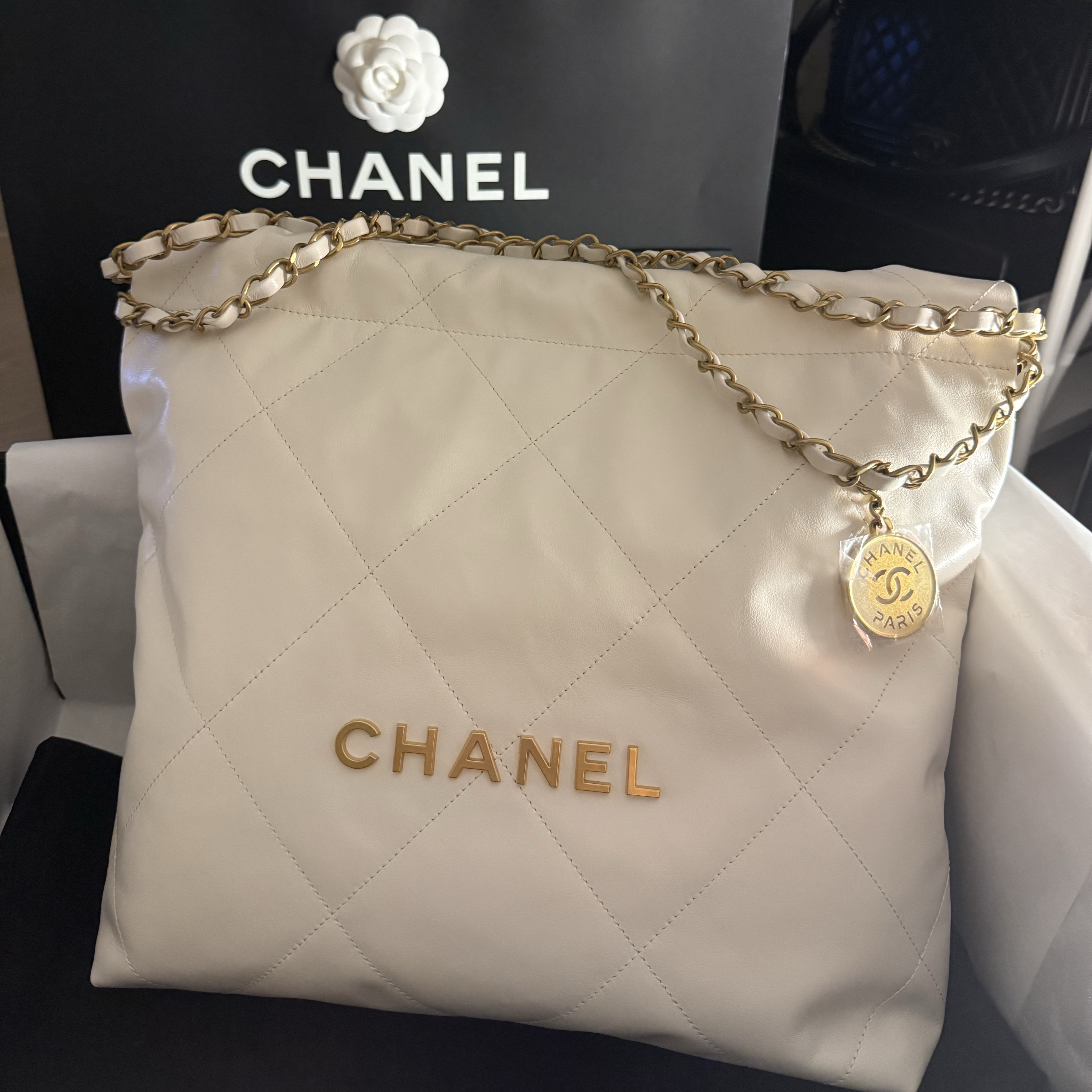 Chanel 22 Small Handbag Shiny Calfskin & Gold White 착용 스타일 - 2