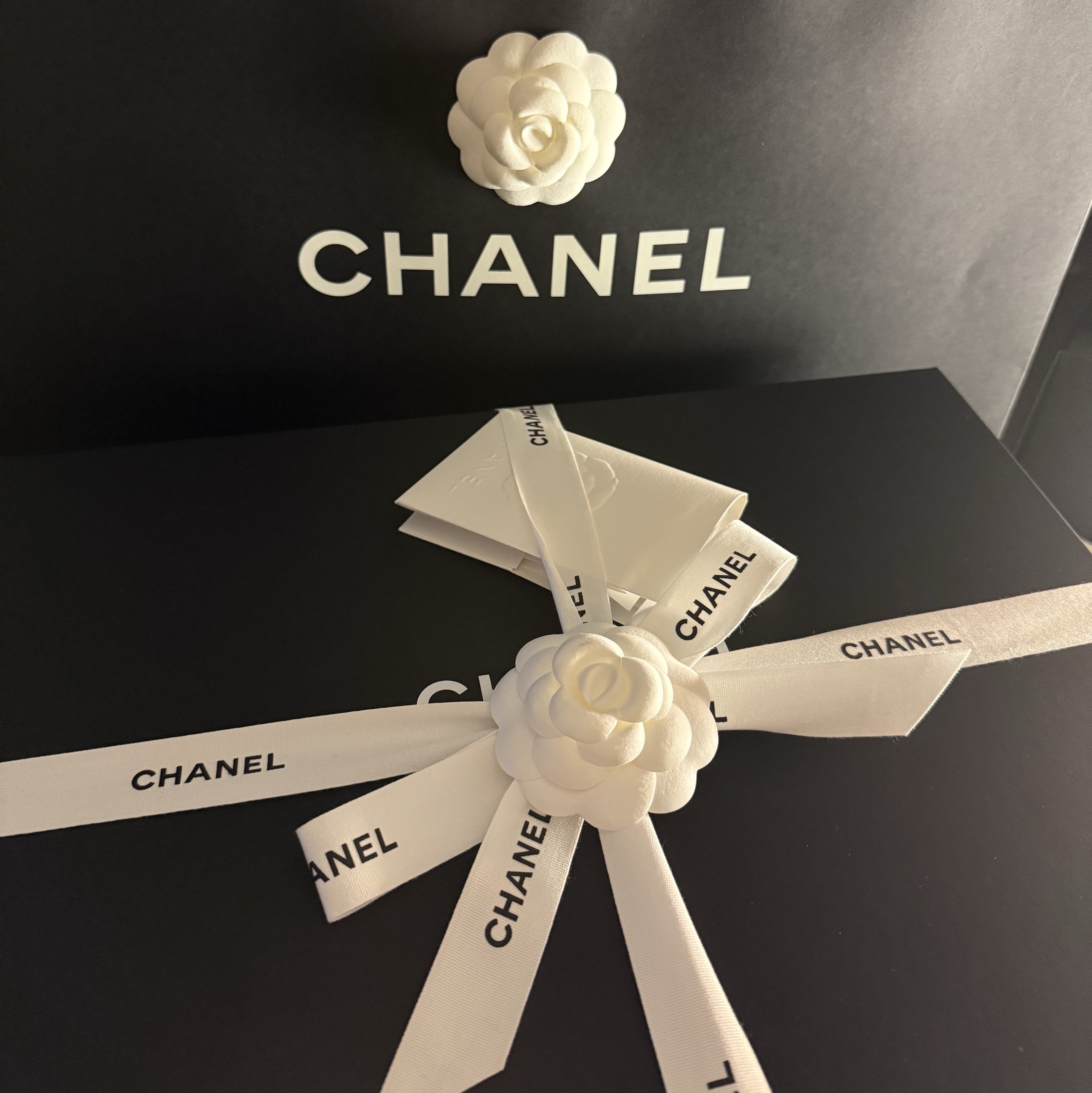 Chanel 22 Small Handbag Shiny Calfskin & Gold White 착용 스타일 - 1