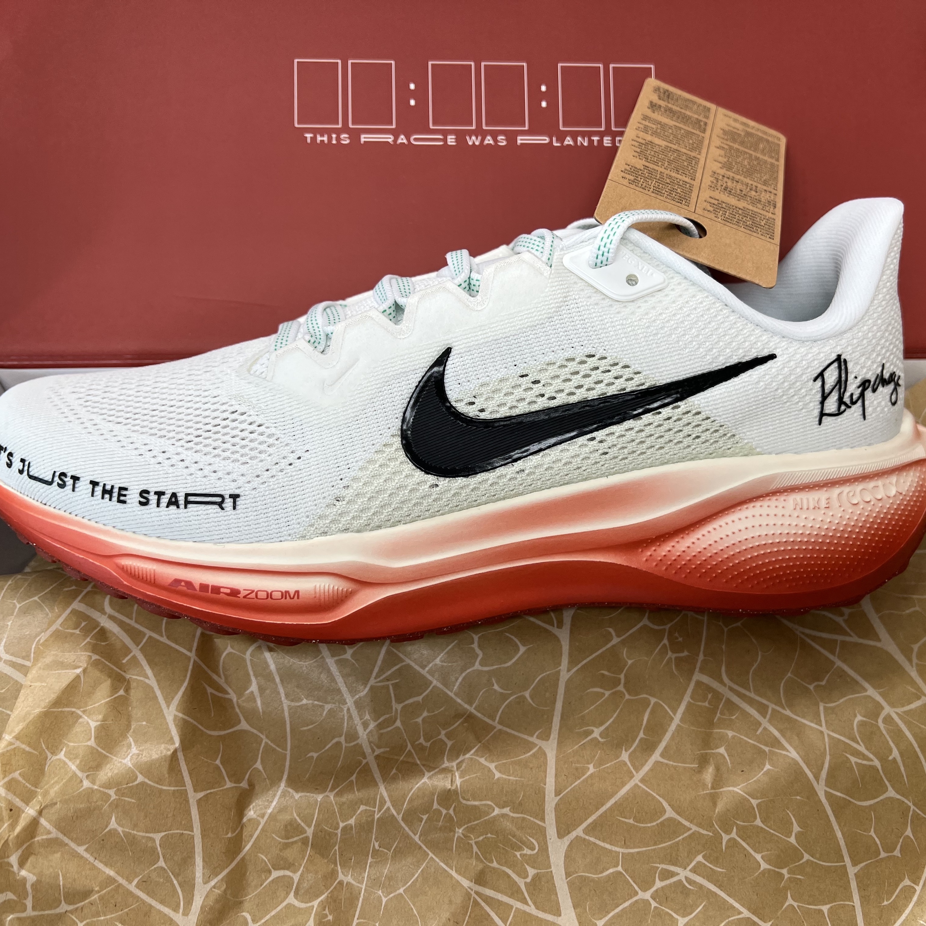 Nike Pegasus 41 Eliud Kipchoge 착용 스타일