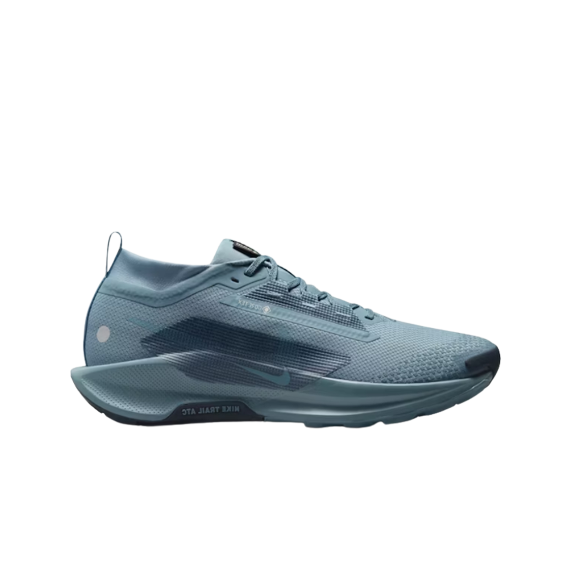 나이키 페가수스 트레일 5 고어텍스 스모키 블루 라이트 실버(Nike Pegasus Trail 5 Gore-Tex Smokey Blue Light Silver)