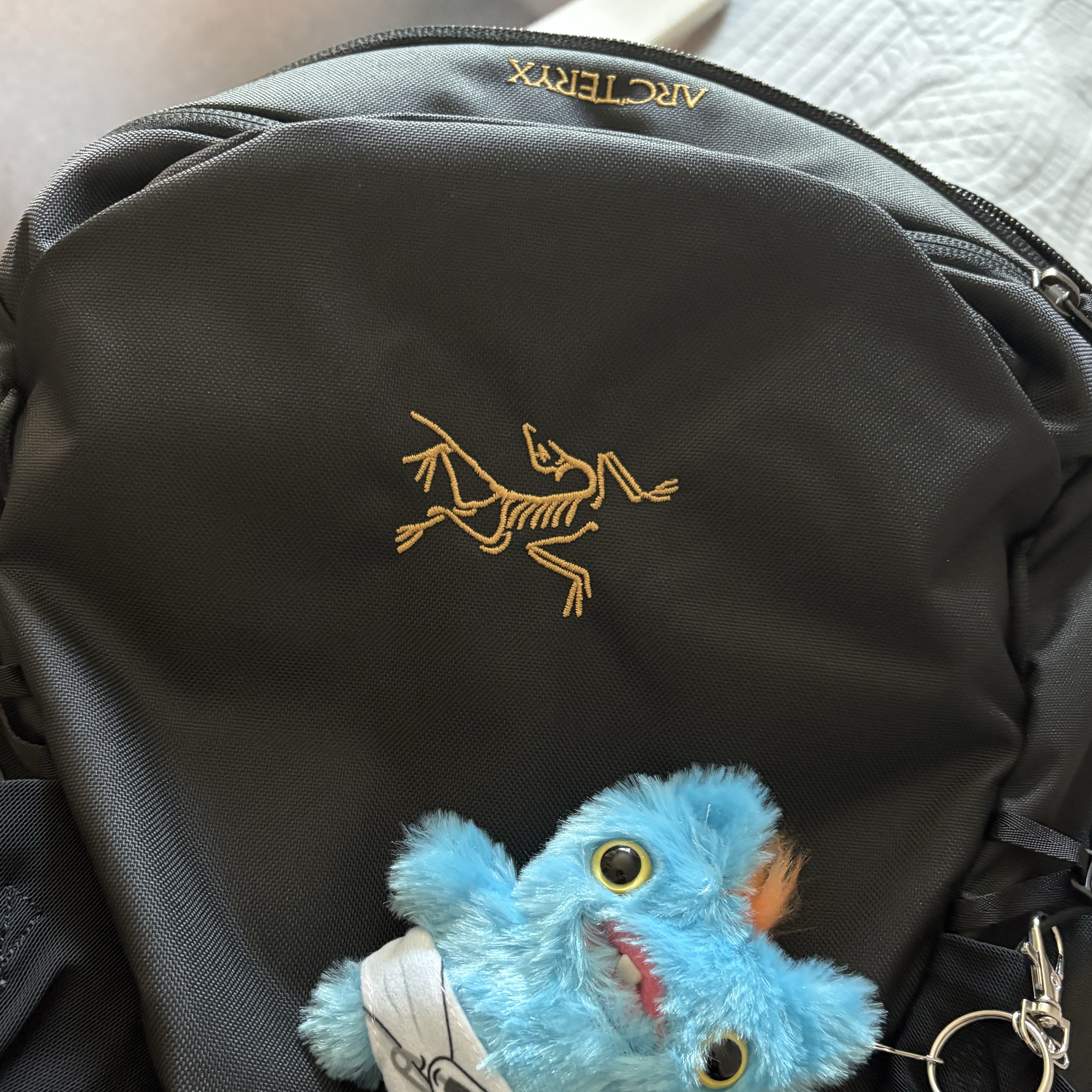 Arc'teryx Mantis 16 Backpack Black 착용 스타일