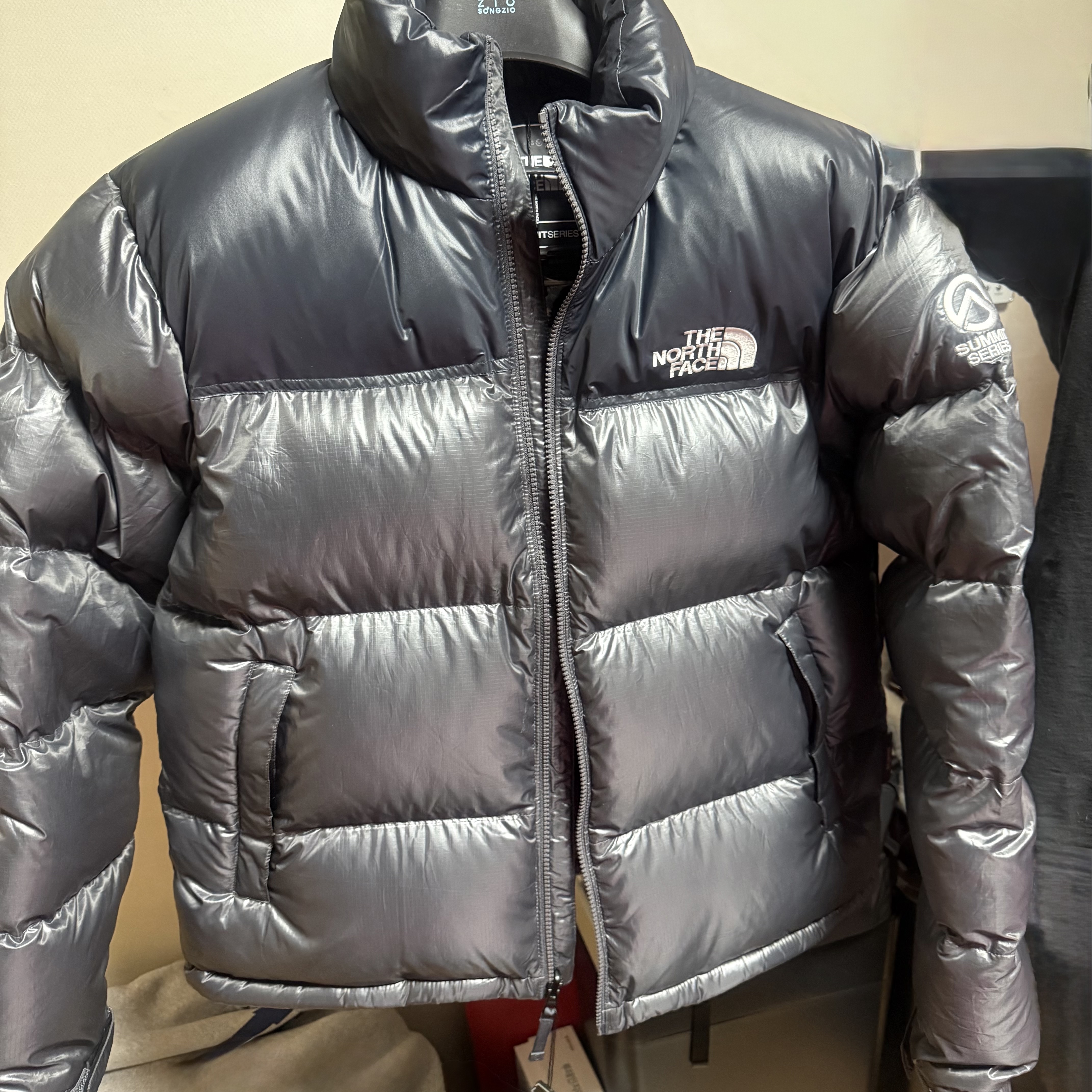 The North Face Quantum Nuptse RDS Down Jacket Silver Gray 착용 스타일
