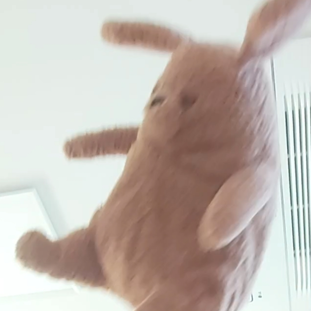 Jellycat Amore Dog Brown 착용 스타일 - 3