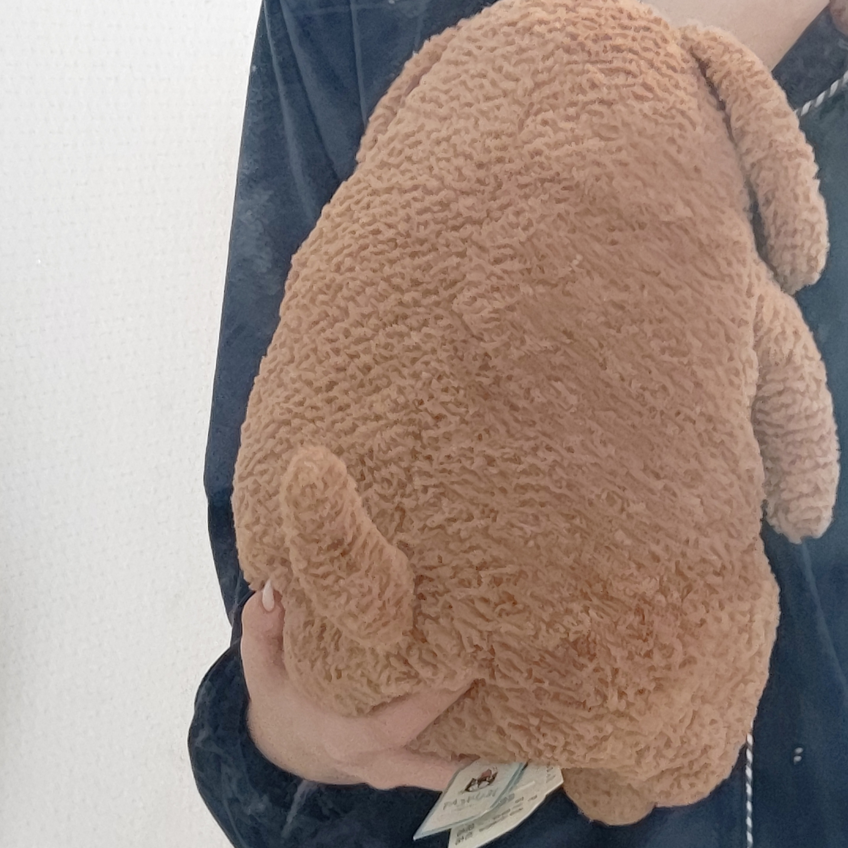 Jellycat Amore Dog Brown 착용 스타일 - 2