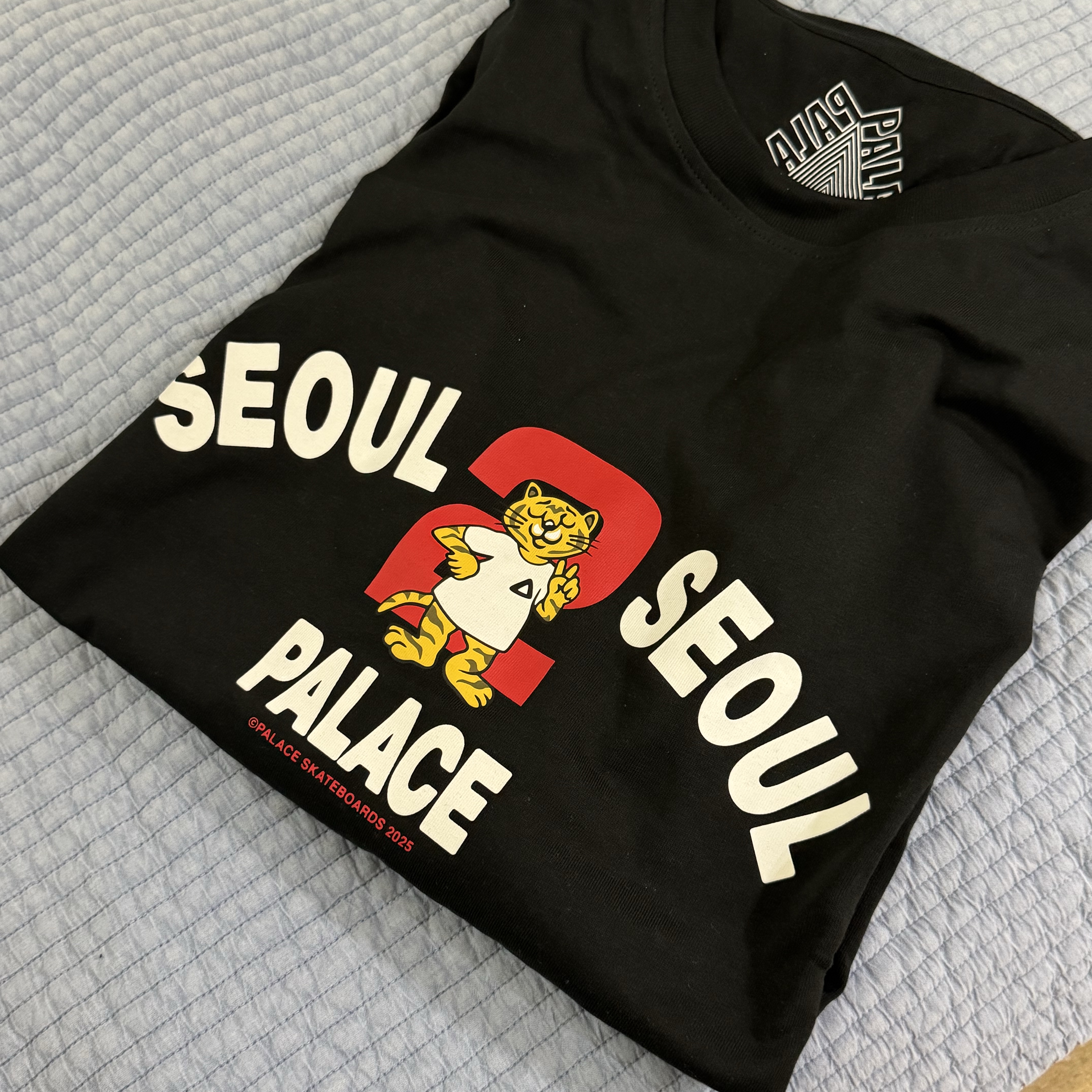 팔라스 서울 2 서울 티셔츠 블랙 - 25SS 착용 스타일 - 1