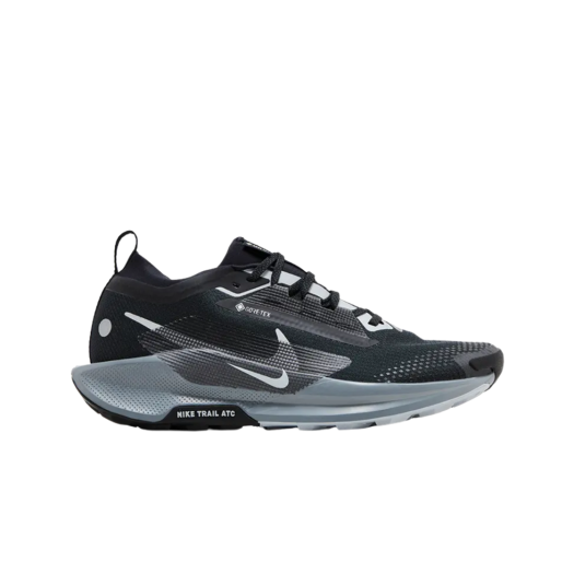 Nike Pegasus Trail 5 Gore-Tex Black Cool Grey