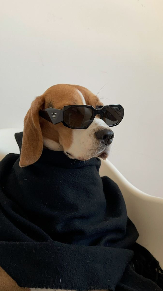 관심 유저 프로필 이미지