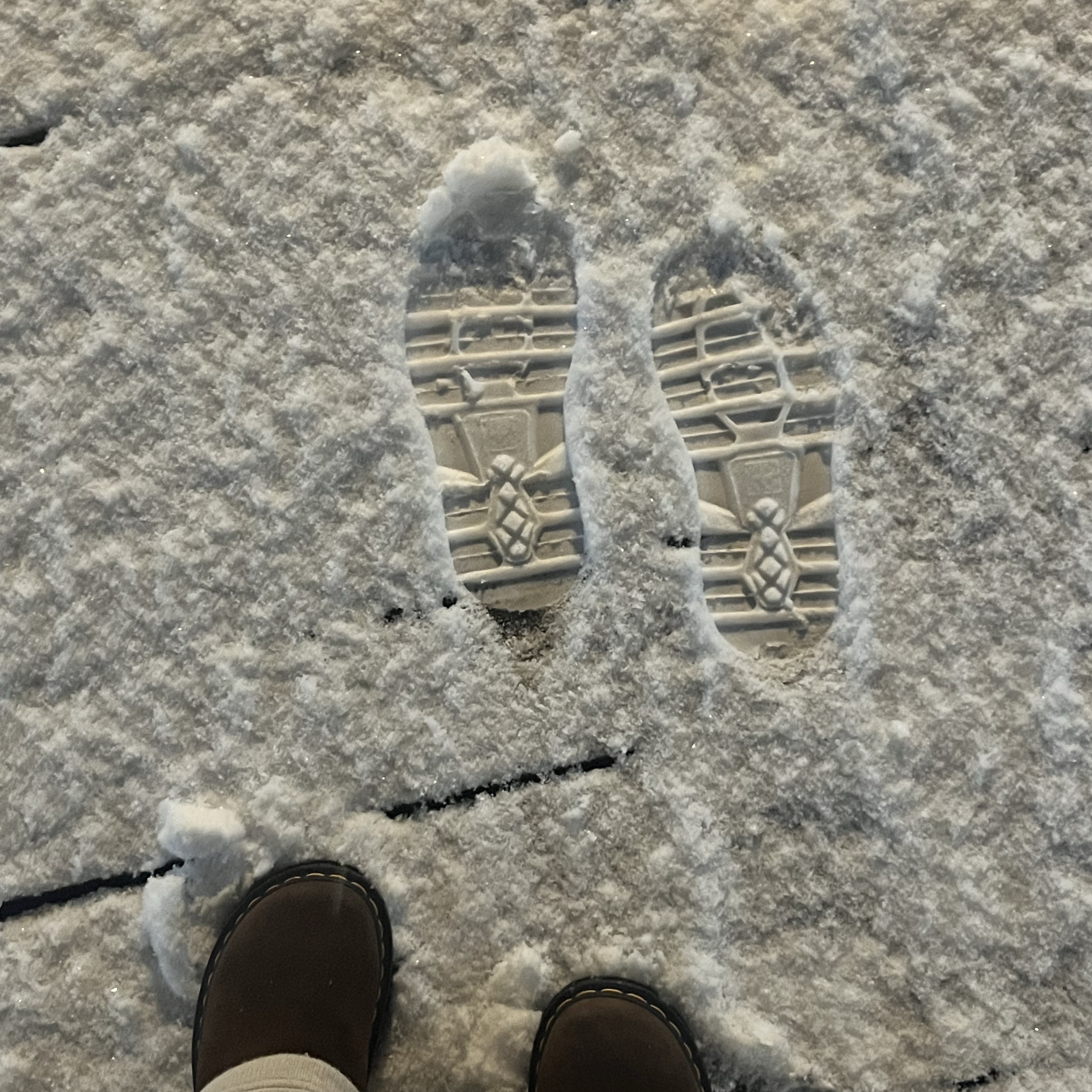 Dr. Martens Zebzag Suede Slingback Platform Mule Dark Brown - 24FW 착용 스타일