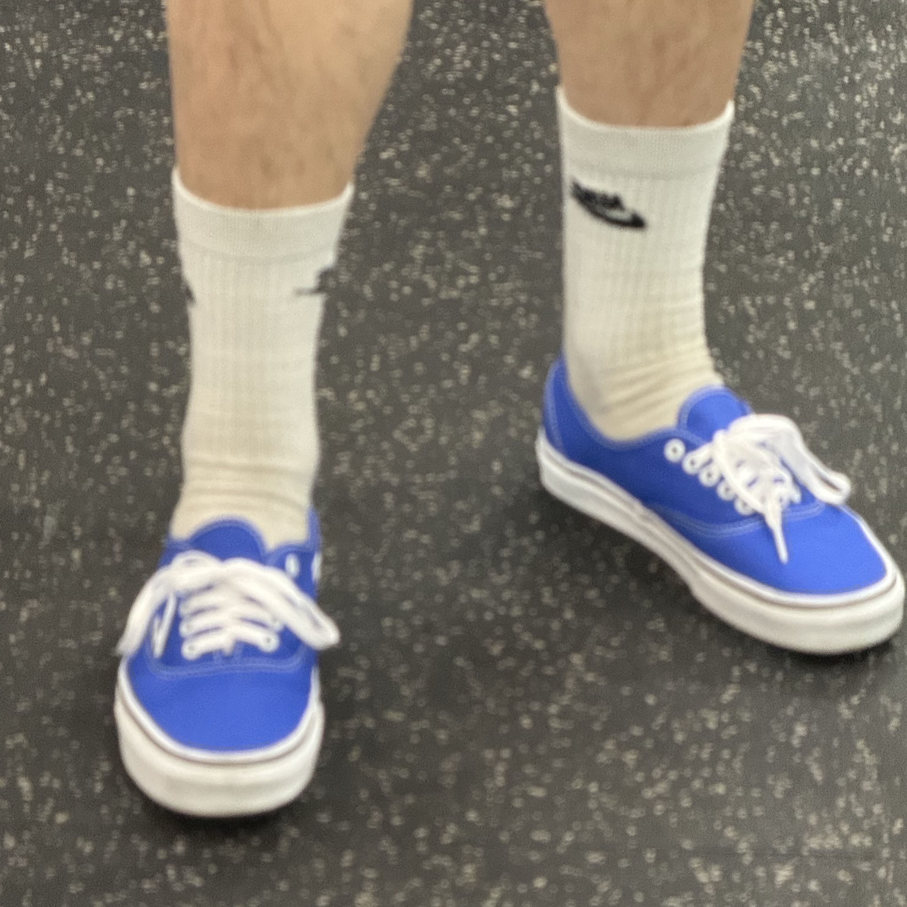 Vans Authentic Color Theory Dazzling Blue 착용 스타일