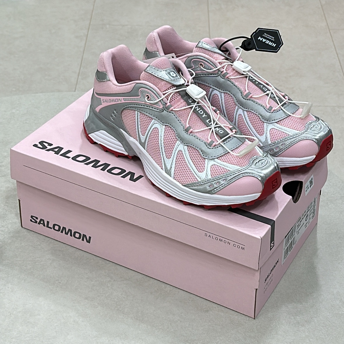 Salomon x Sandy Liang XT-Whisper Fairy Tale Silver 착용 스타일