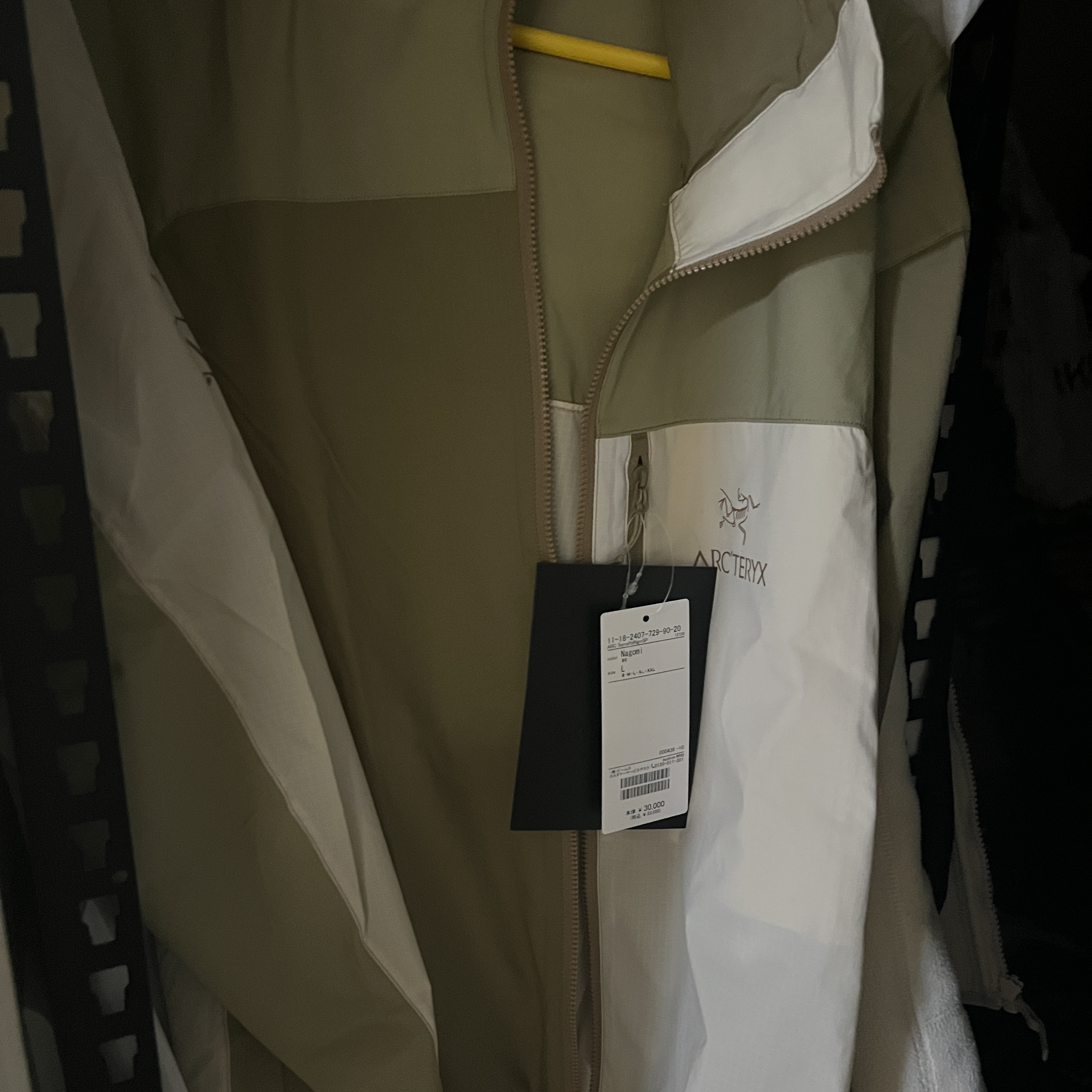 Arc'teryx x Beams Squamish Hoody Nagomi 착용 스타일
