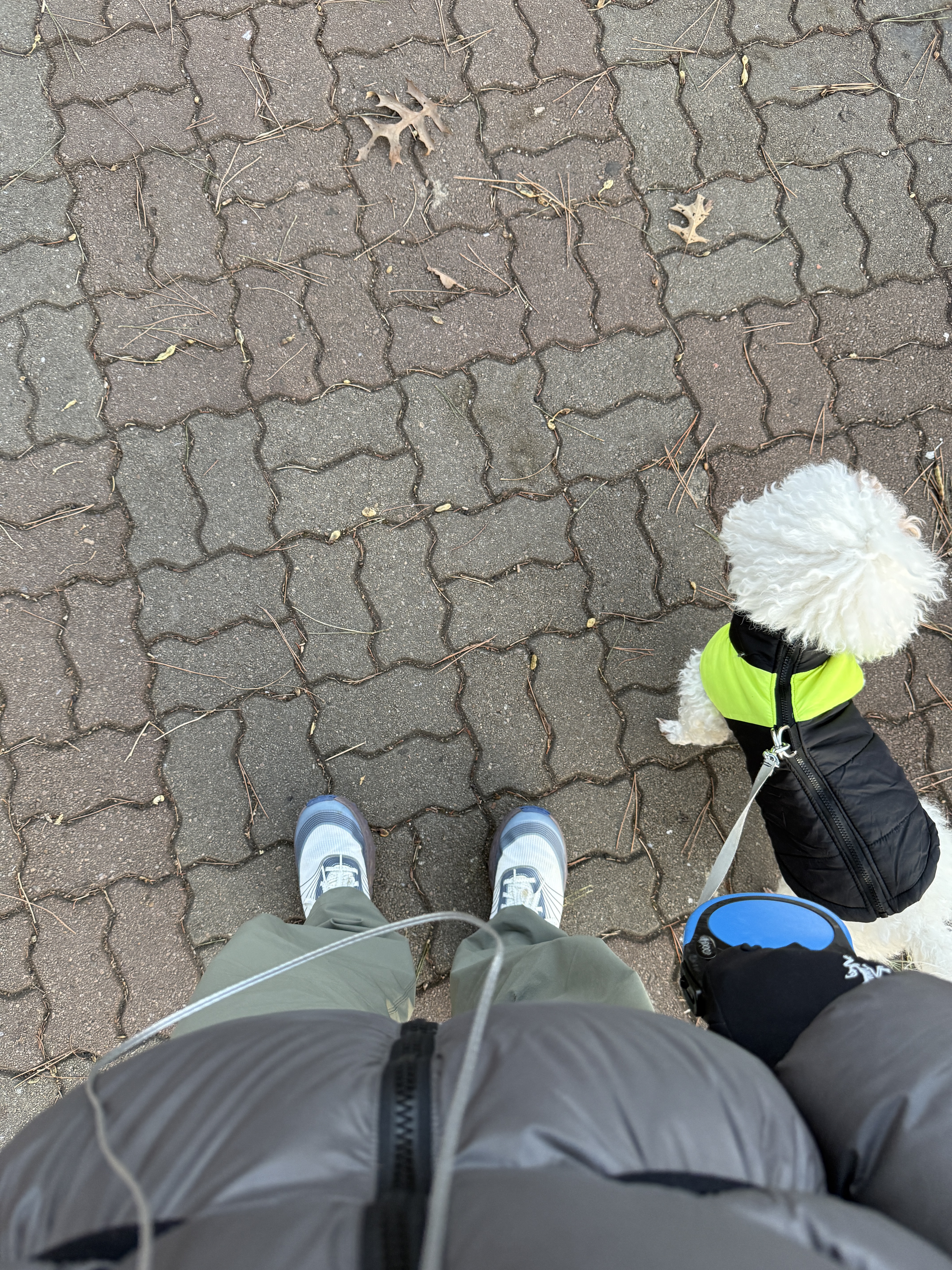 Arc'teryx Rampart Pants Forage, Feathered Friends Helios Hooded Down Jacket Ash 착용 스타일