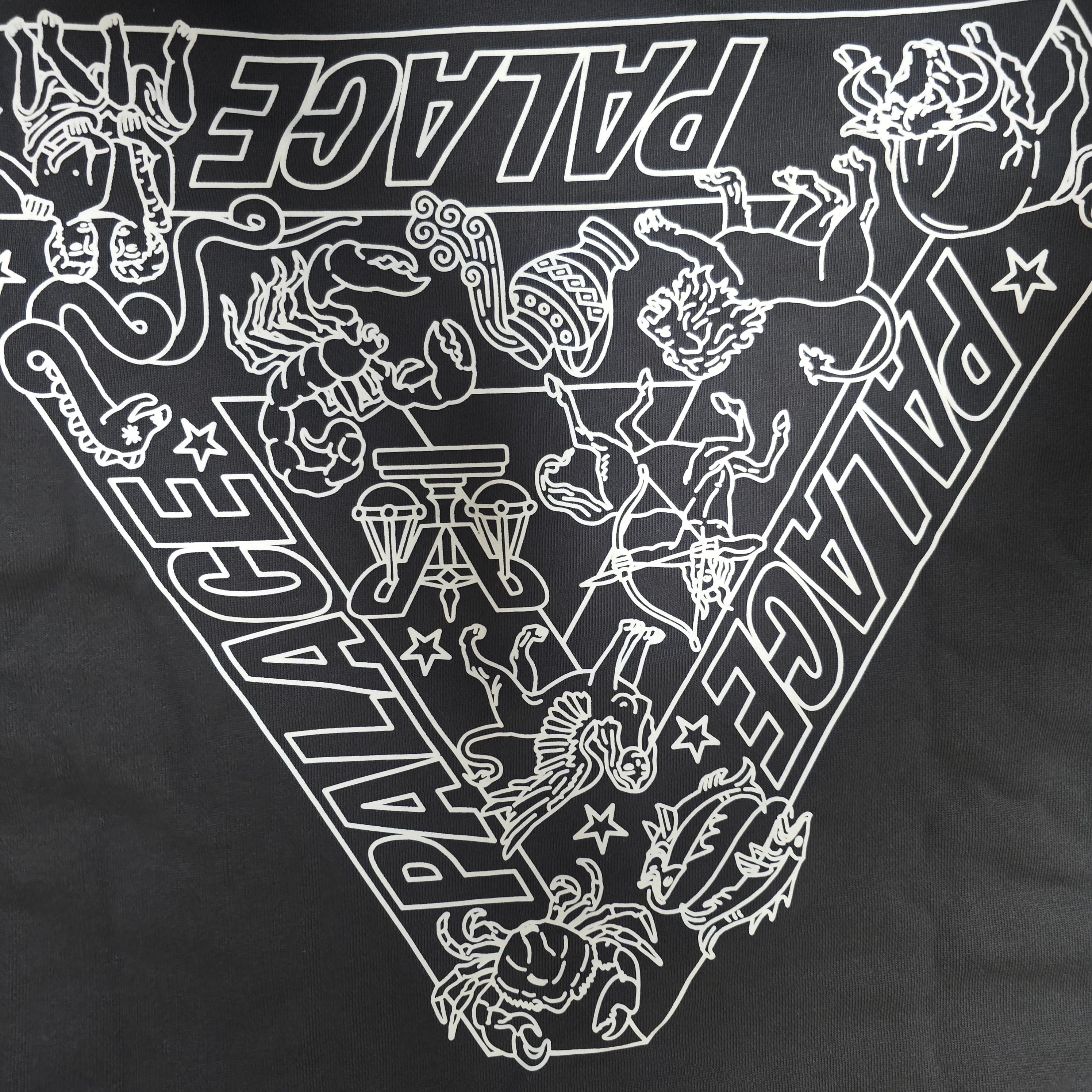 Palace Zodiac Tri-Ferg Hood Black - 25SS 착용 스타일 - 2