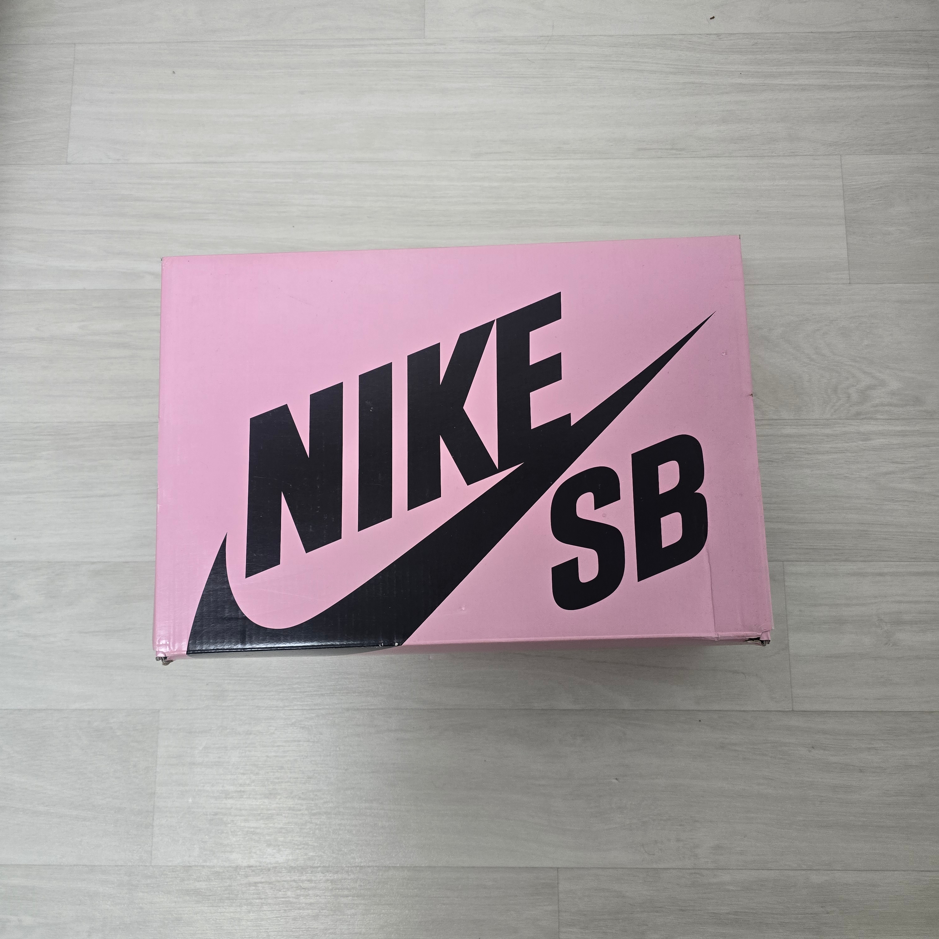 Nike x Staple SB Dunk Low Panda Pigeon 착용 스타일 - 1
