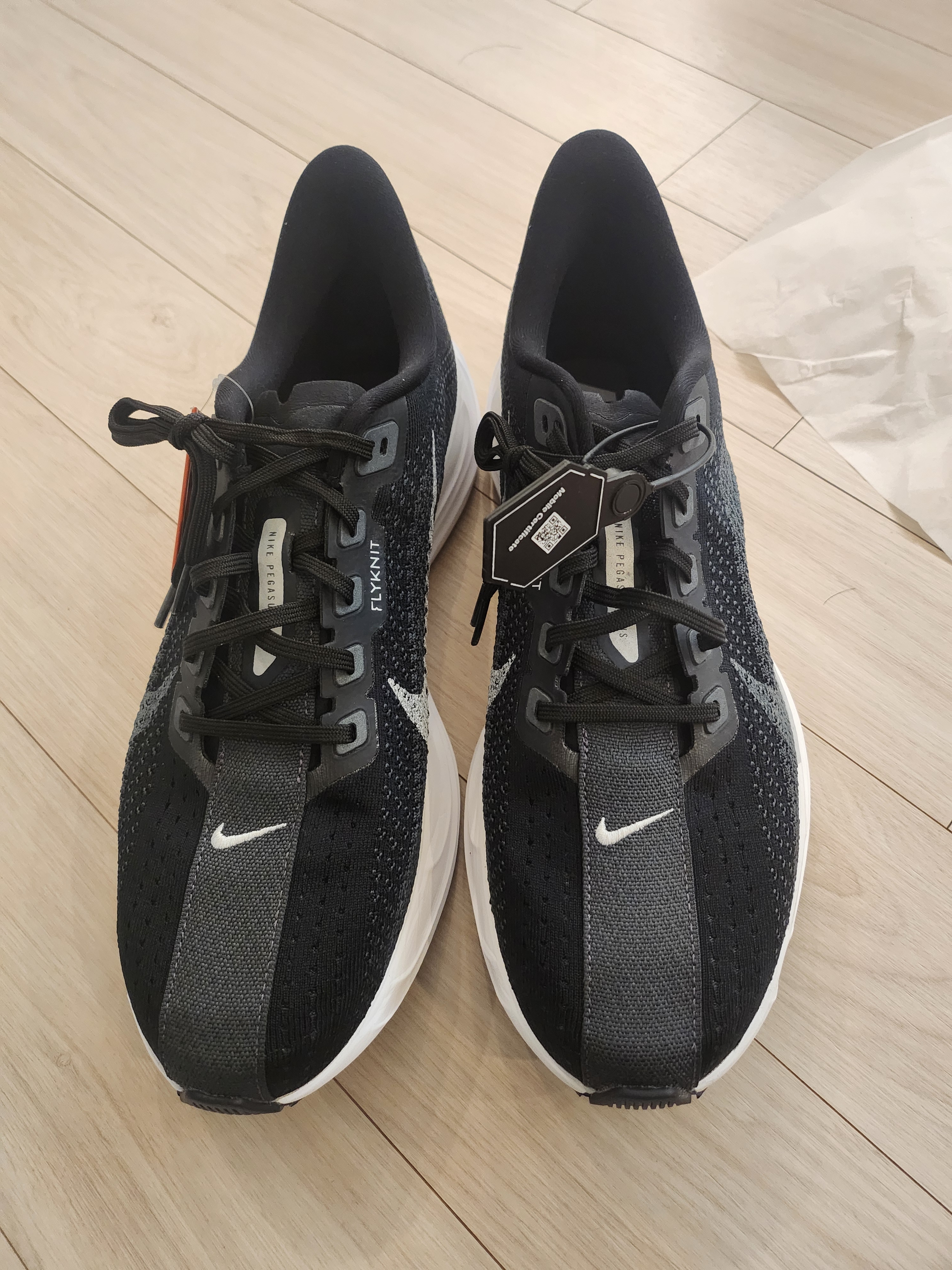 Nike Pegasus Plus Black Pure Platinum 착용 스타일
