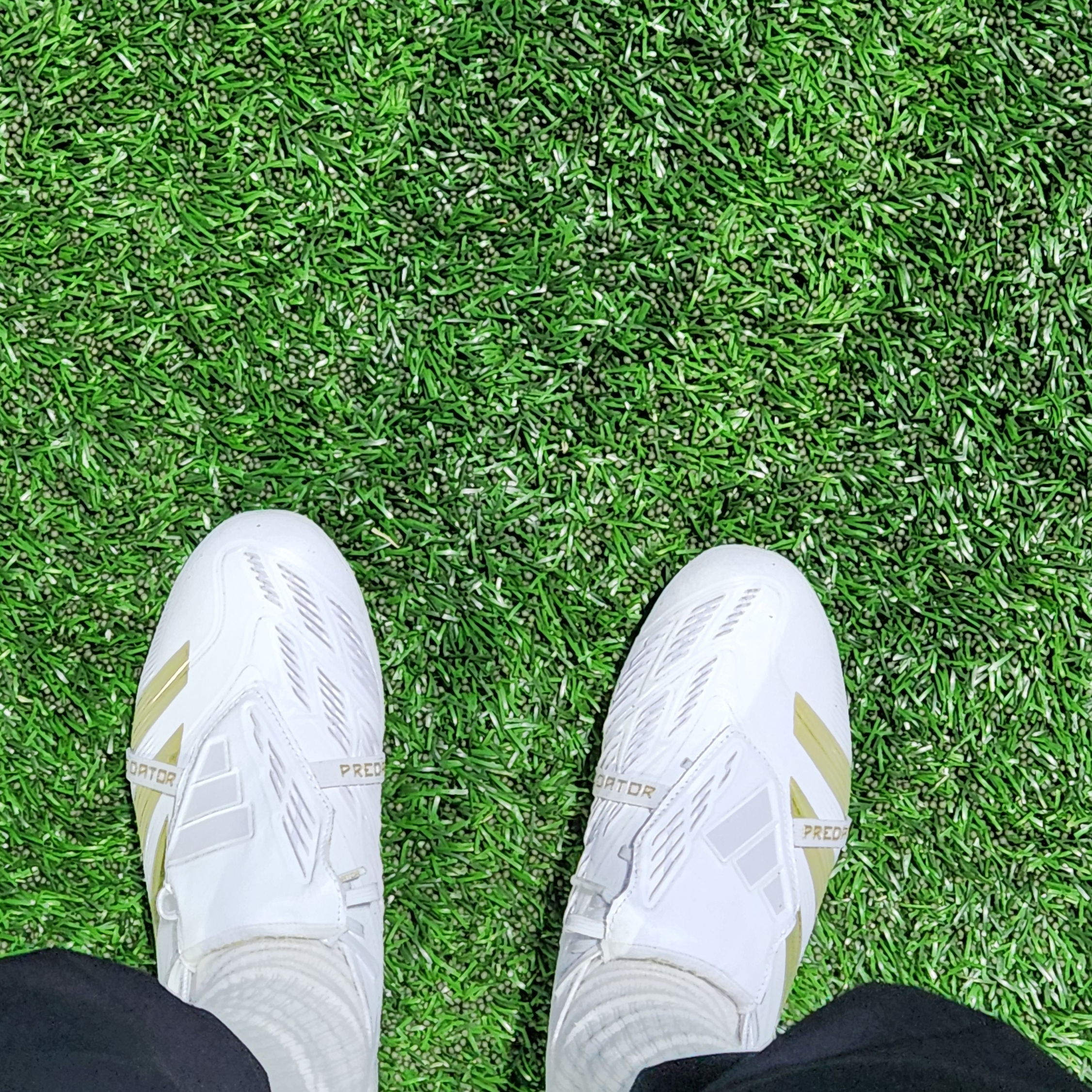 Adidas Predator Elite Foldover Tongue FG Cloud White Gold Metallic 착용 스타일