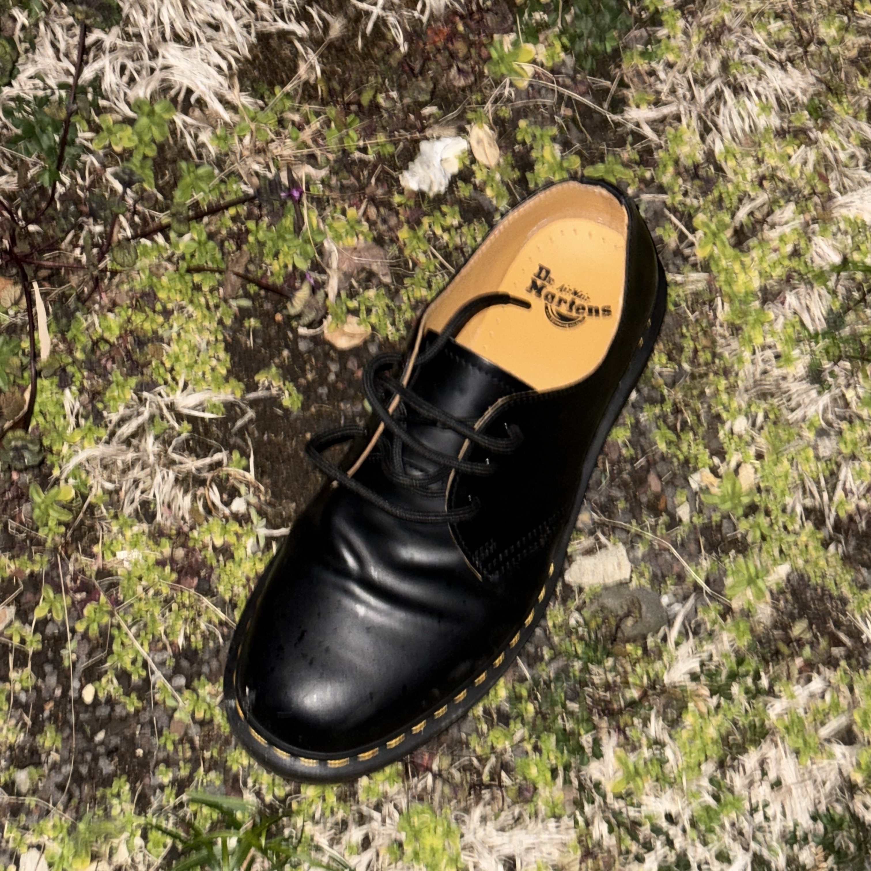 Dr. Martens 1461 Smooth Black 착용 스타일
