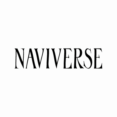 나비버스(NAVIVERSE)