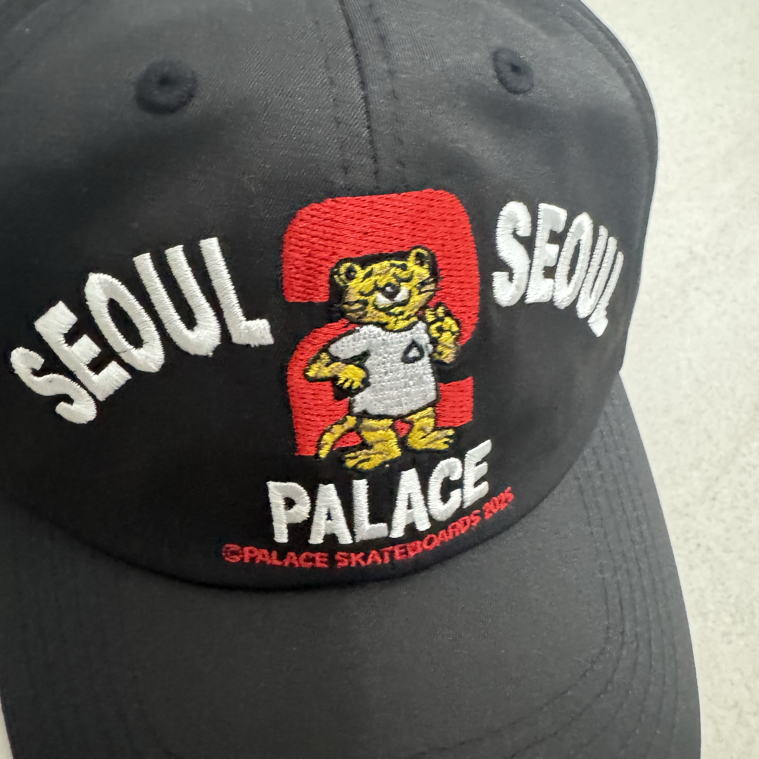 팔라스 서울 2 서울 6-패널 캡 블랙 - 25SS 착용 스타일 - 1