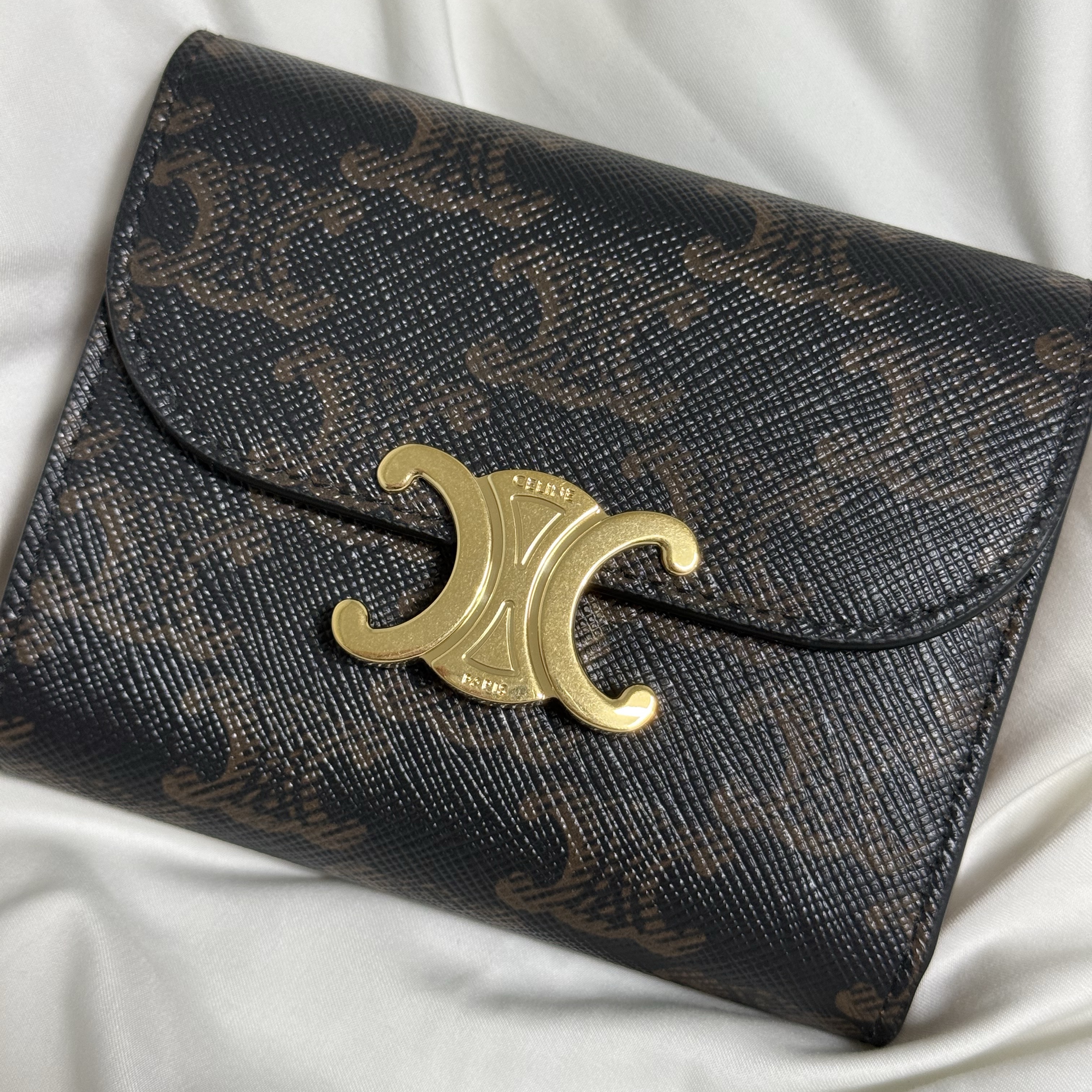 Celine Small Wallet Triomphe in Triomphe Canvas Tan 착용 스타일