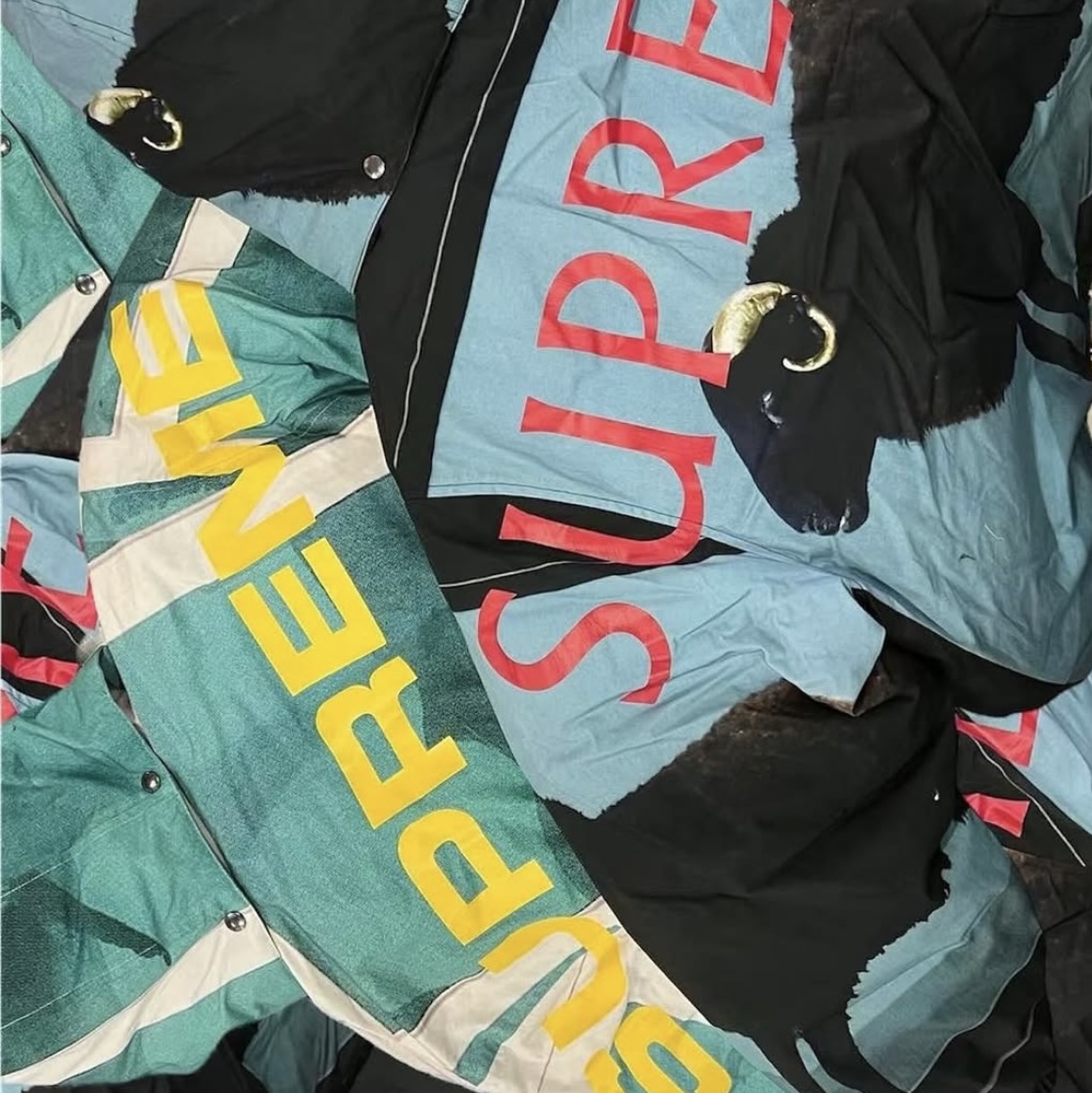 Supreme x Damien Hirst Down Puffer Jacket Black - 25SS, Supreme x Damien Hirst Down Puffer Jacket White - 25SS 착용 스타일 - 2