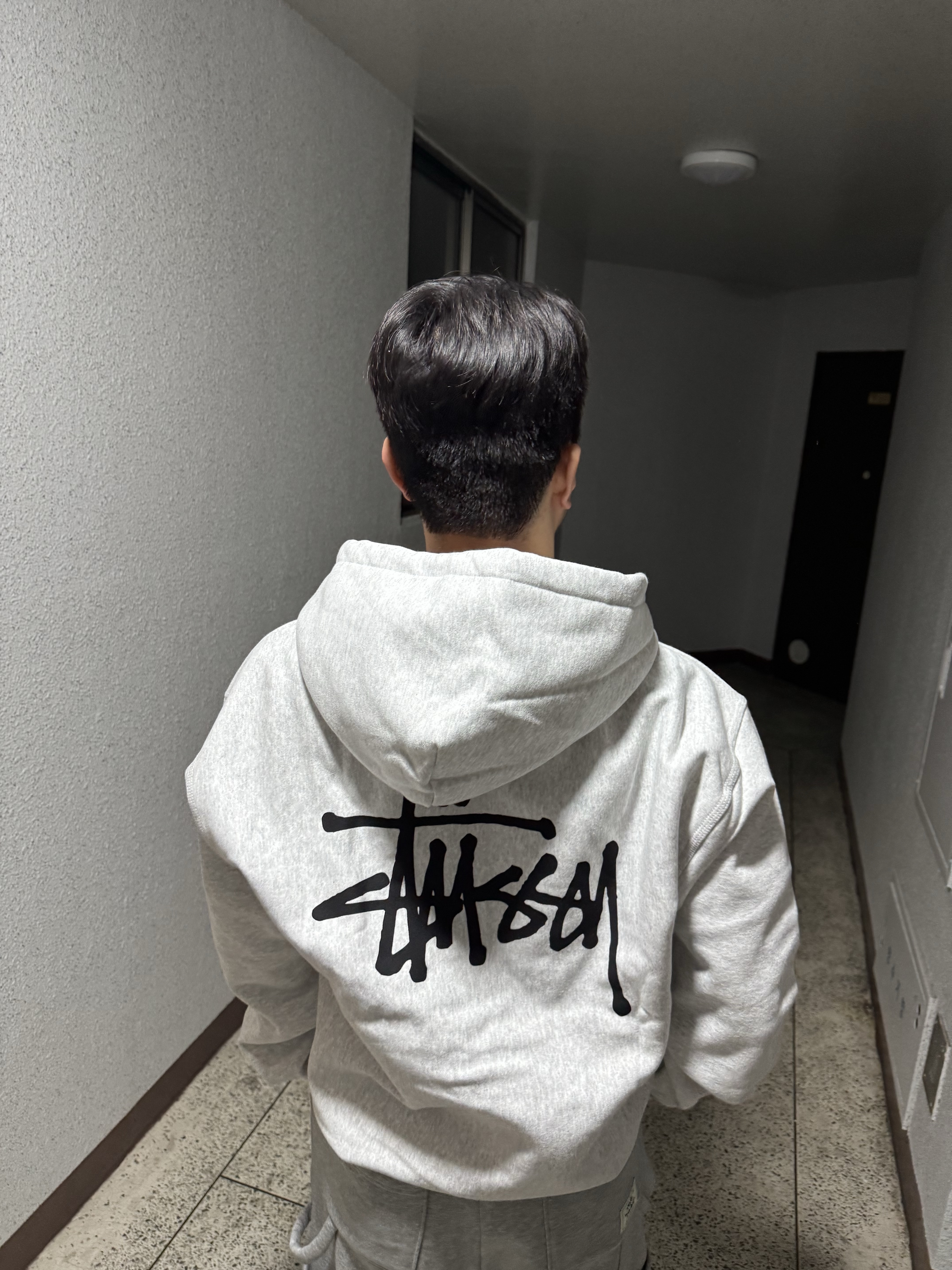 Stussy Basic Stussy Zip Hoodie Ash Heather 착용 스타일 - 1