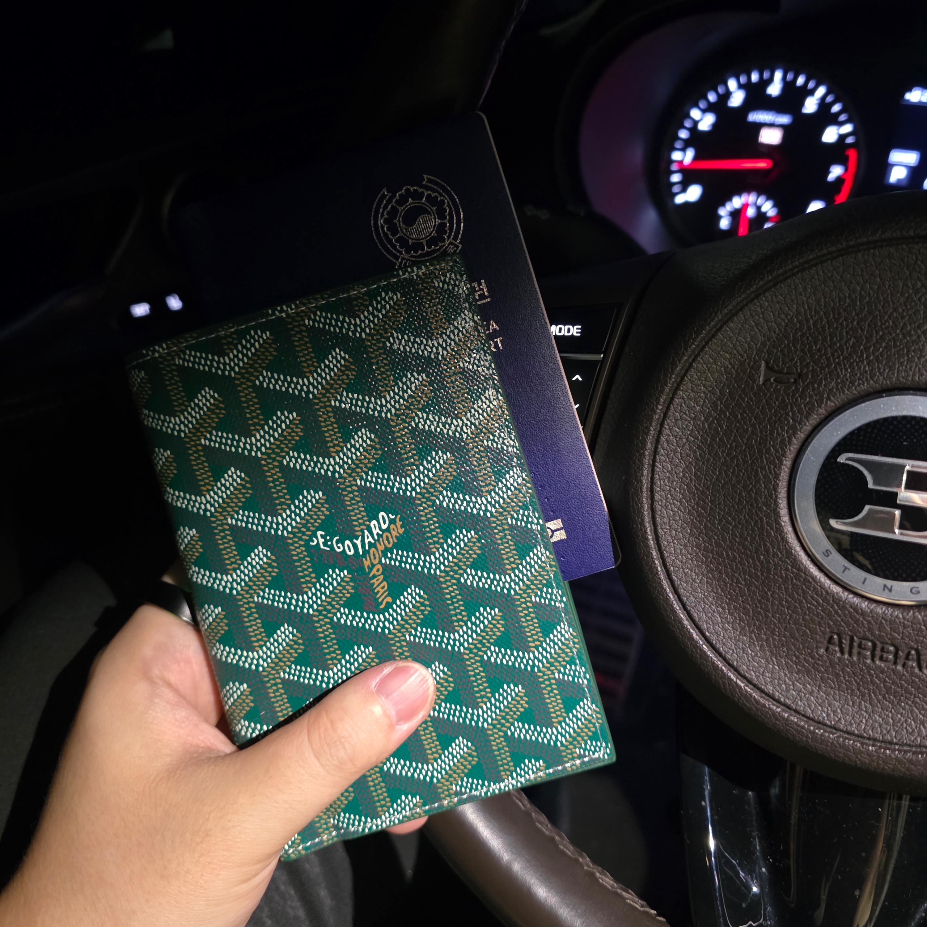 Goyard Grenelle Passport Cover Green 착용 스타일 - 1
