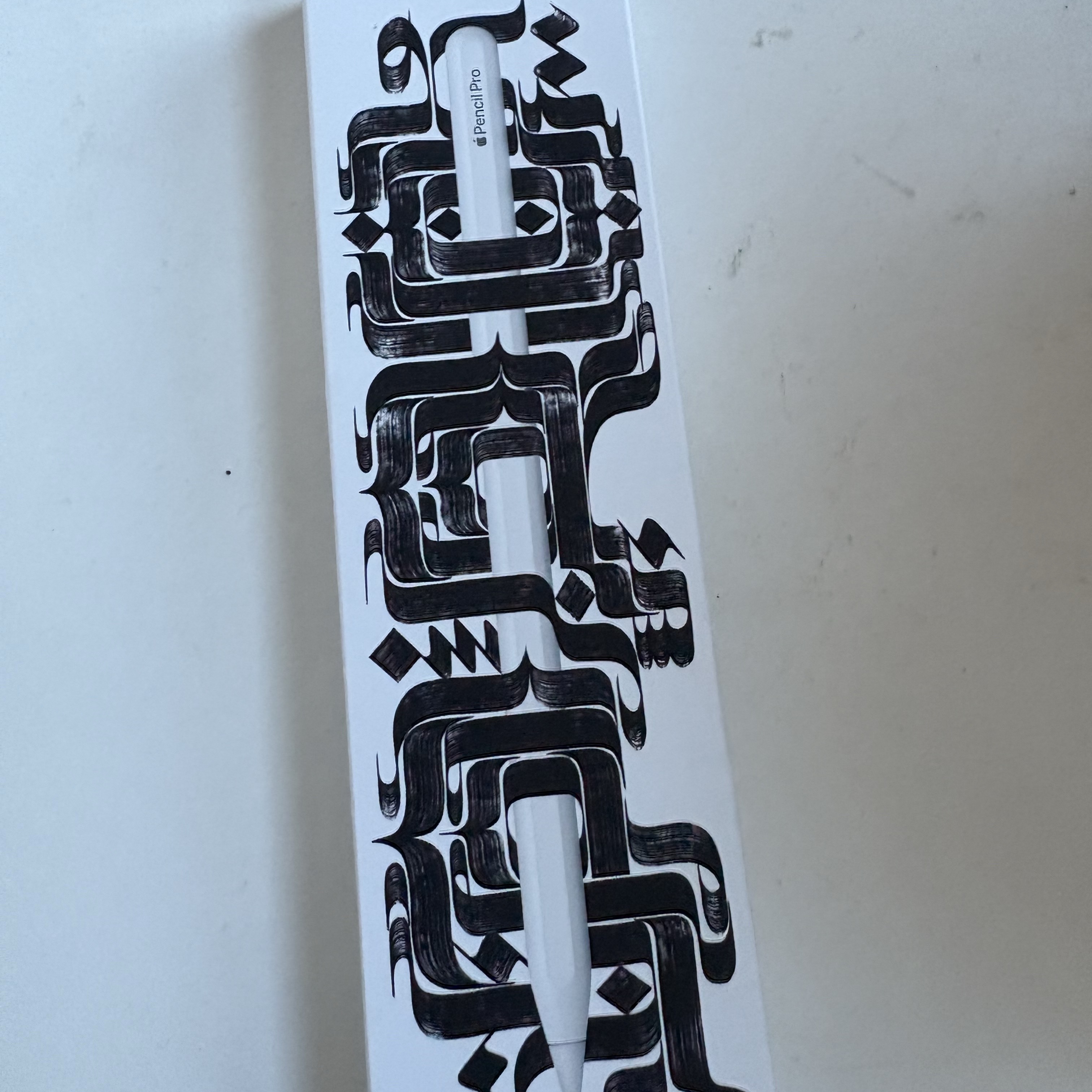 Apple Pencil Pro (Korean Ver.) 착용 스타일