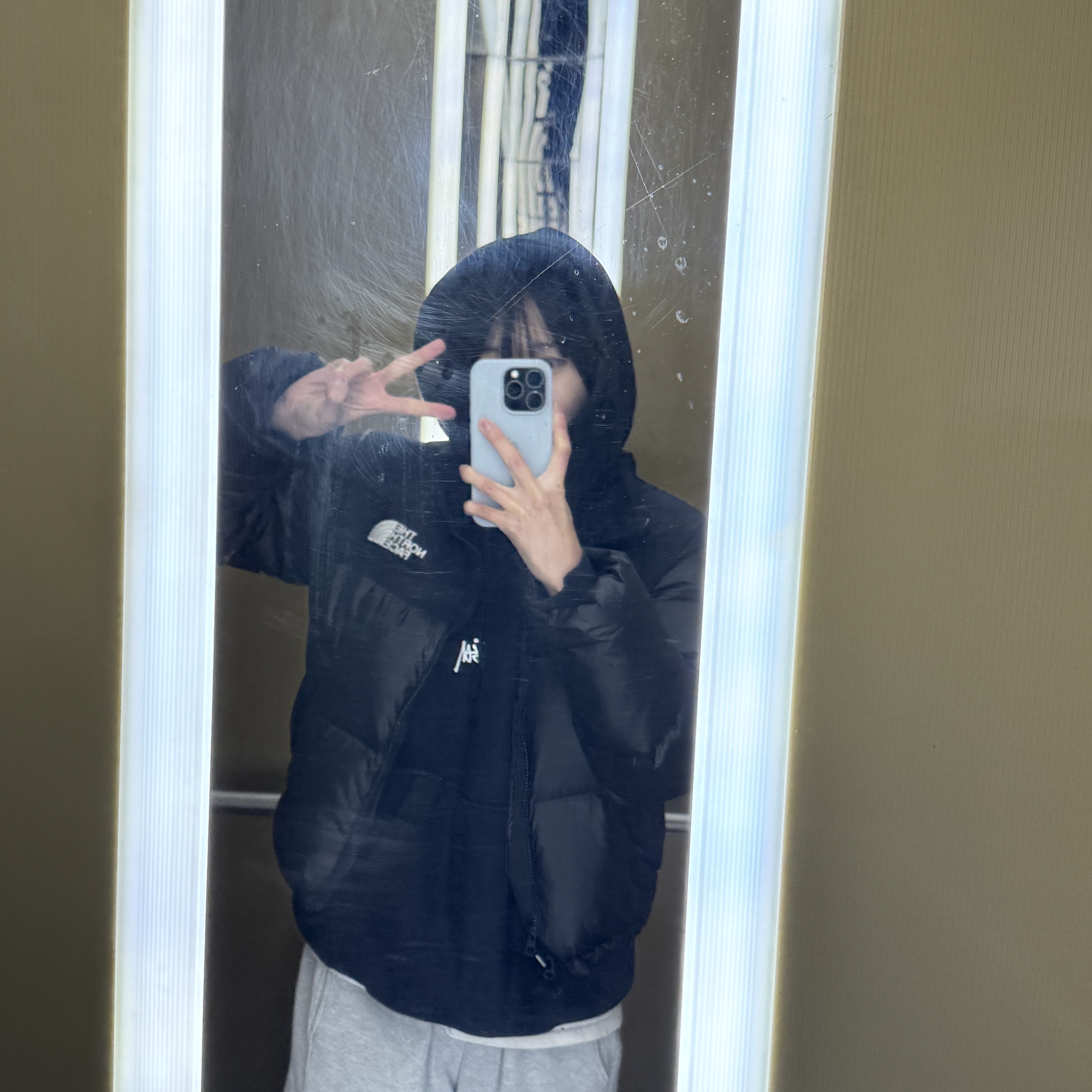 Stussy Basic Stussy Hoodie Black, (W) The North Face White Label Novelty Nuptse Down Jacket Black 착용 스타일