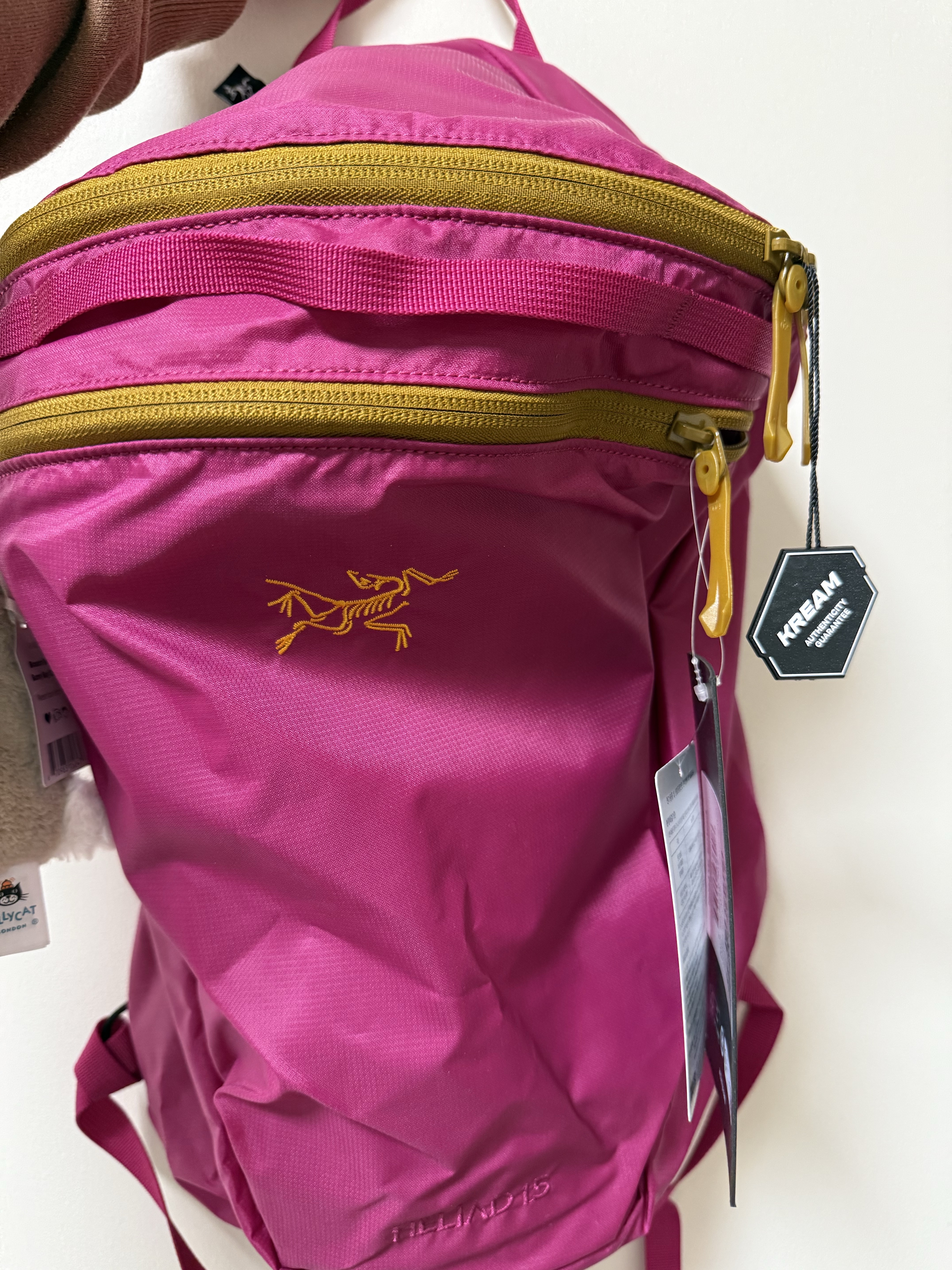 Arc'teryx Heliad 15 Backpack Amaranthus 착용 스타일