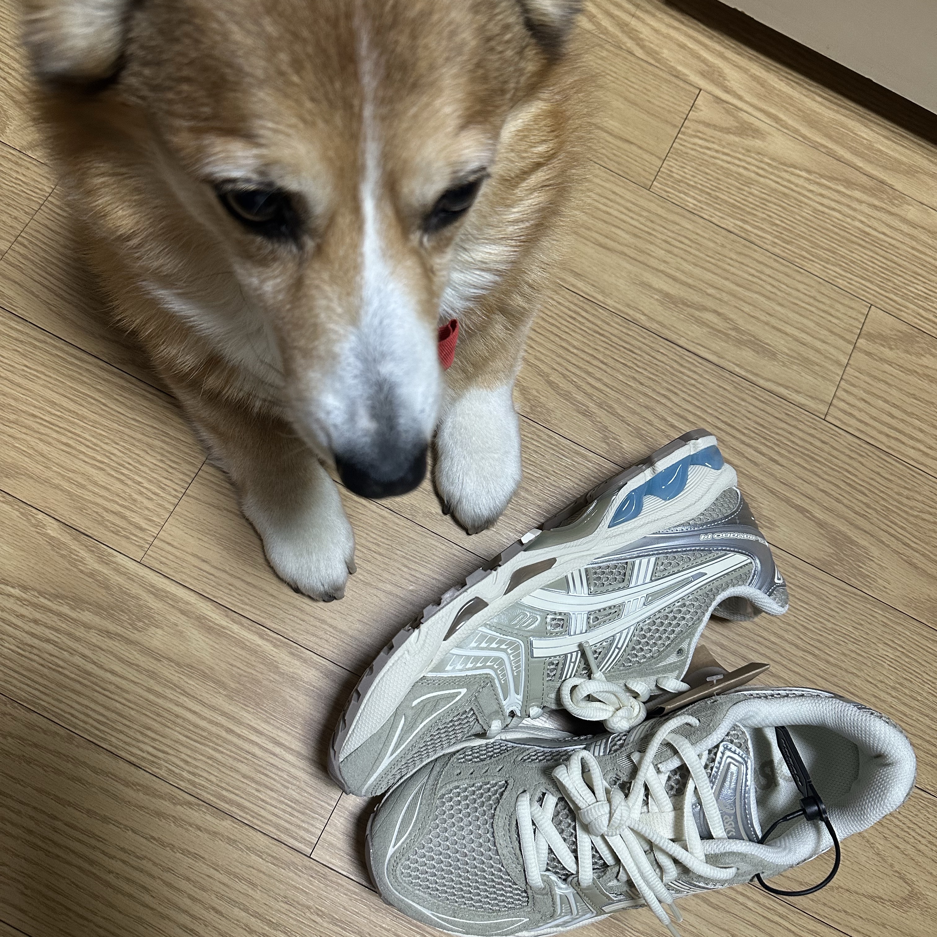 Asics x Juliana Salazar Gel-Kayano 14 Eucalyptus Vanilla Ice 착용 스타일