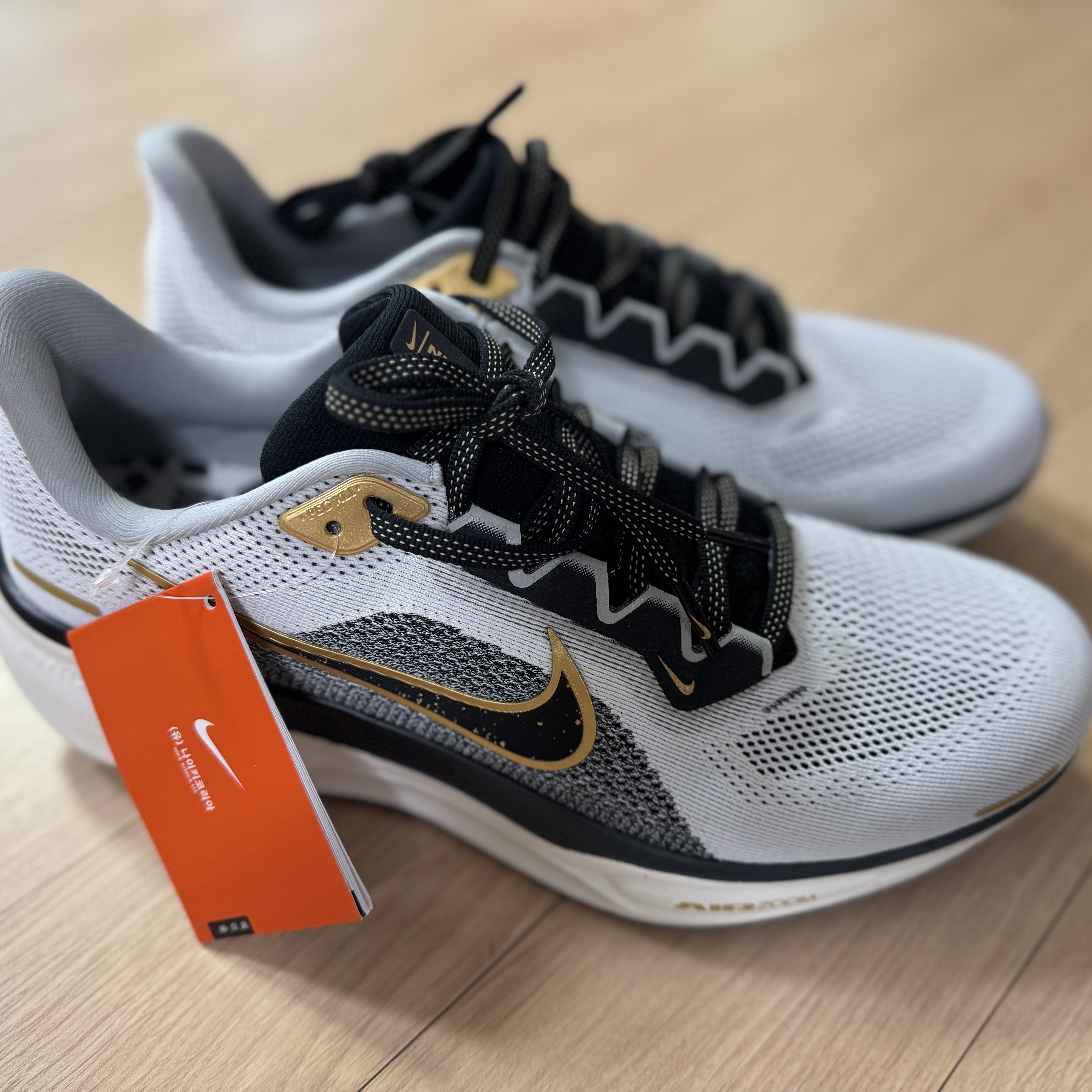 Nike Air Zoom Pegasus 41 White Metallic Gold 착용 스타일