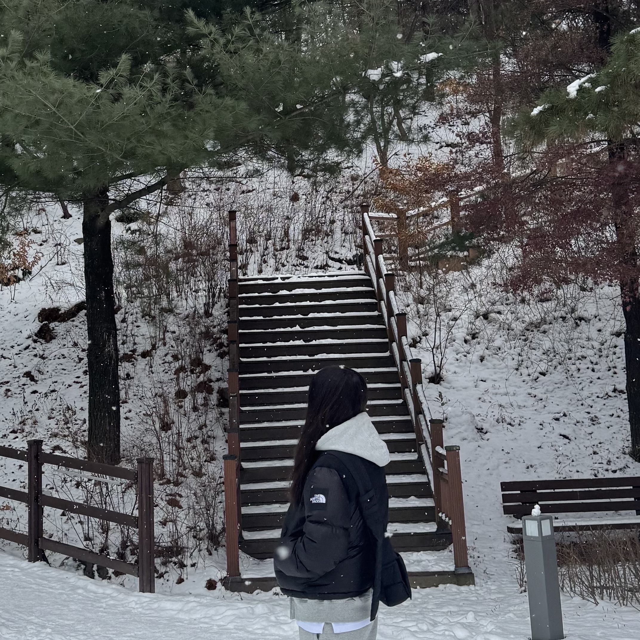 (W) The North Face White Label Novelty Nuptse Down Jacket Black 착용 스타일