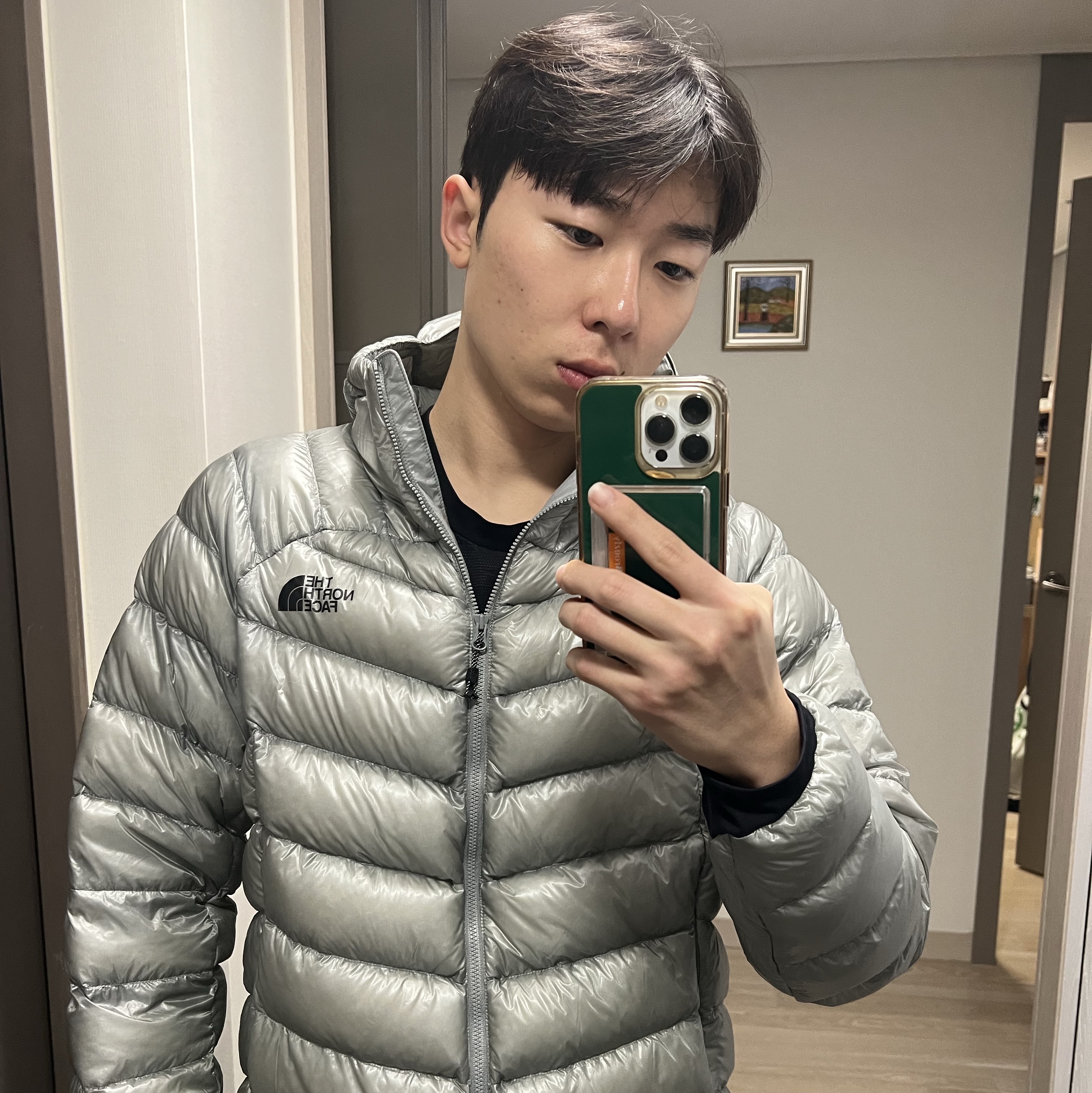 The North Face Summit Mattehorn RDS Down Jacket Light Gray 착용 스타일 - 1