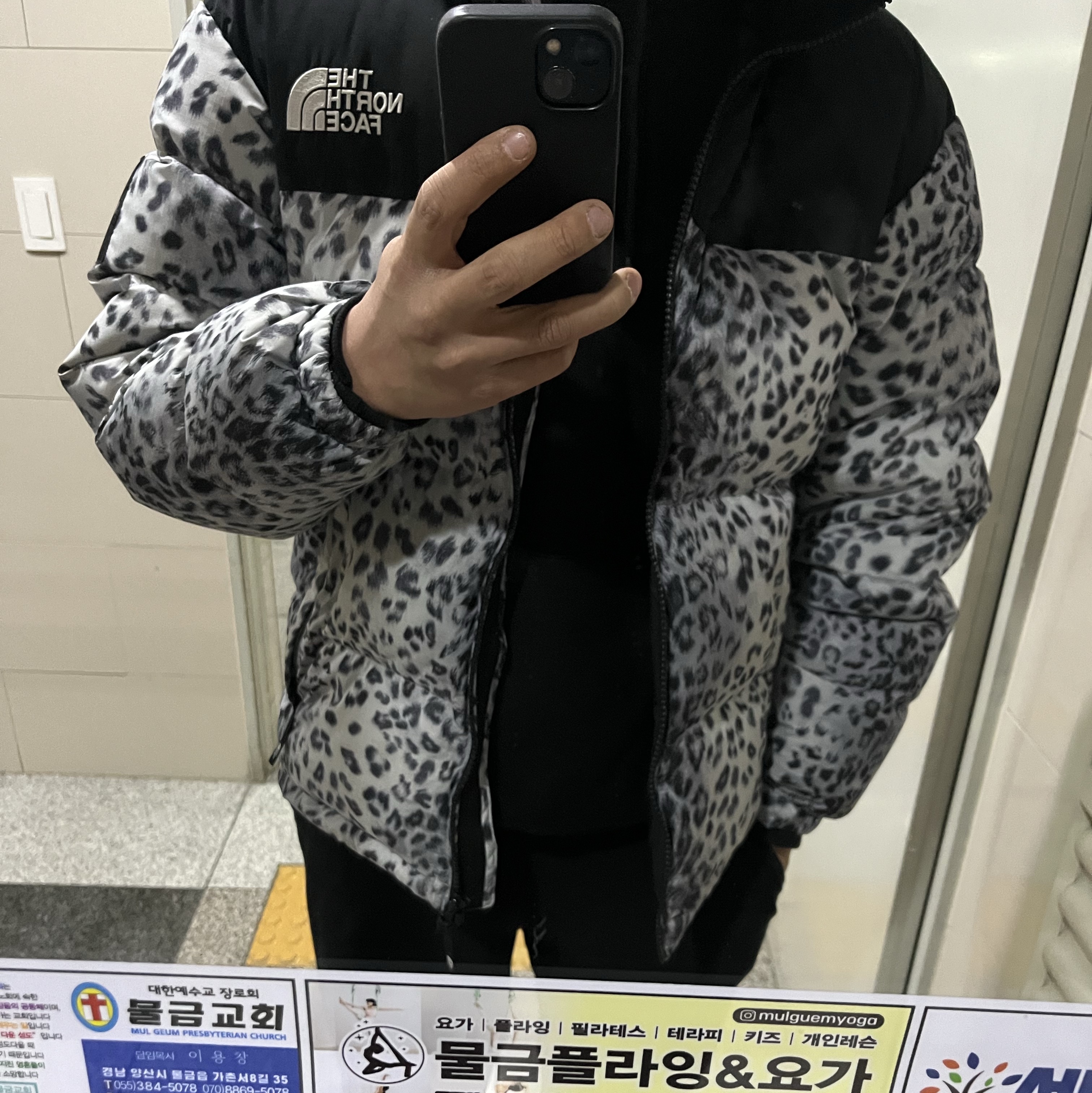 The North Face White Label Novelty Nuptse Down Jacket P Silver 착용 스타일