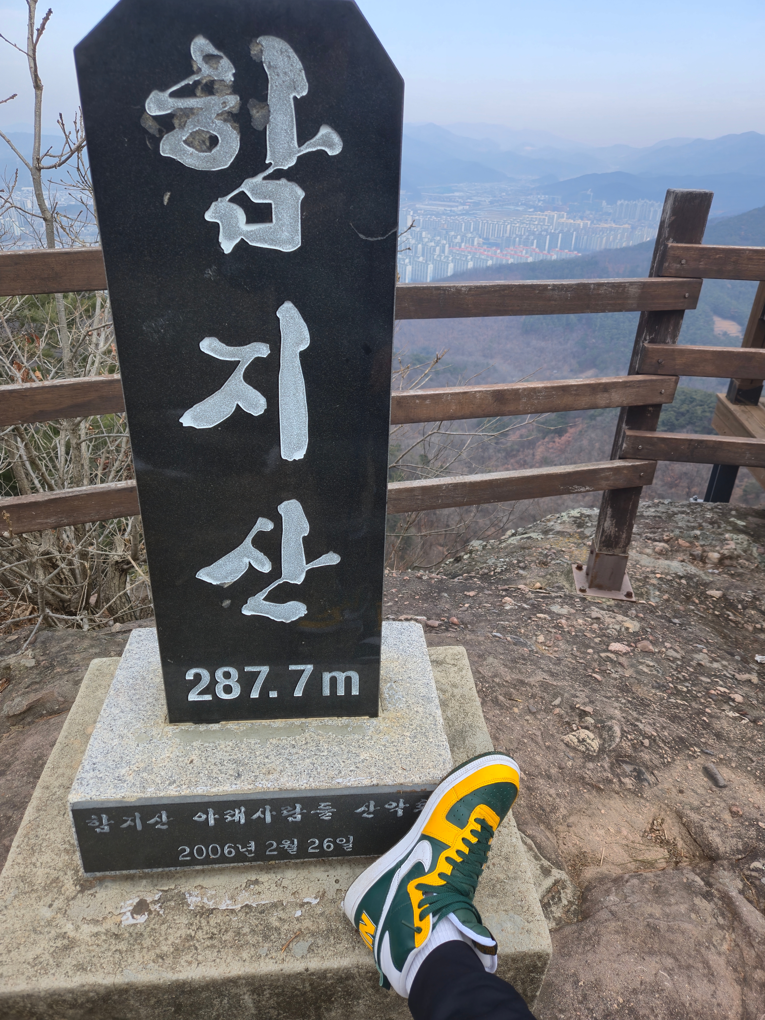 Nike Terminator High Black Forest and Del Sol 착용 스타일