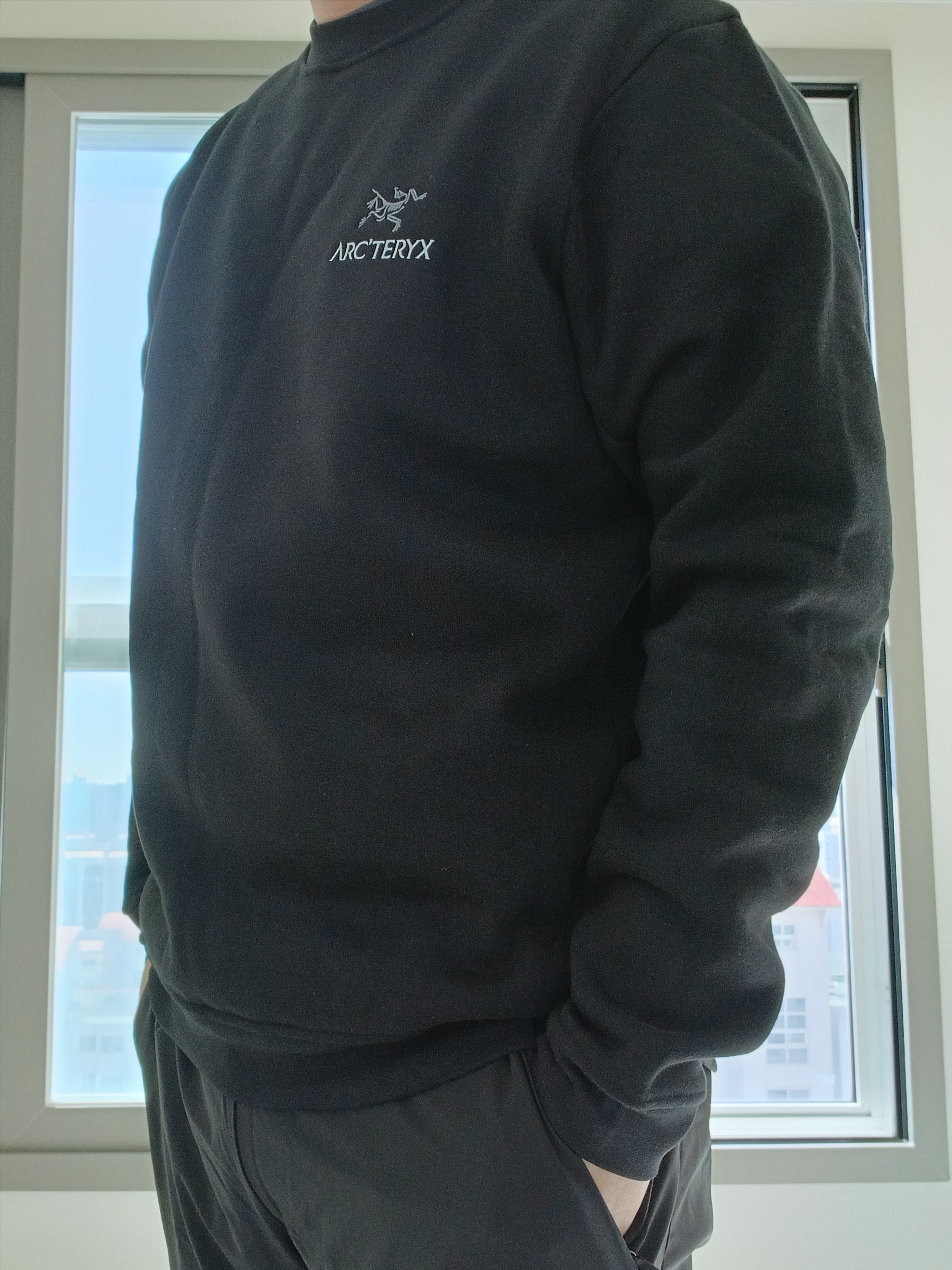 Arc'teryx Emblem Fleece Crew Neck Pullover Black 착용 스타일 - 1